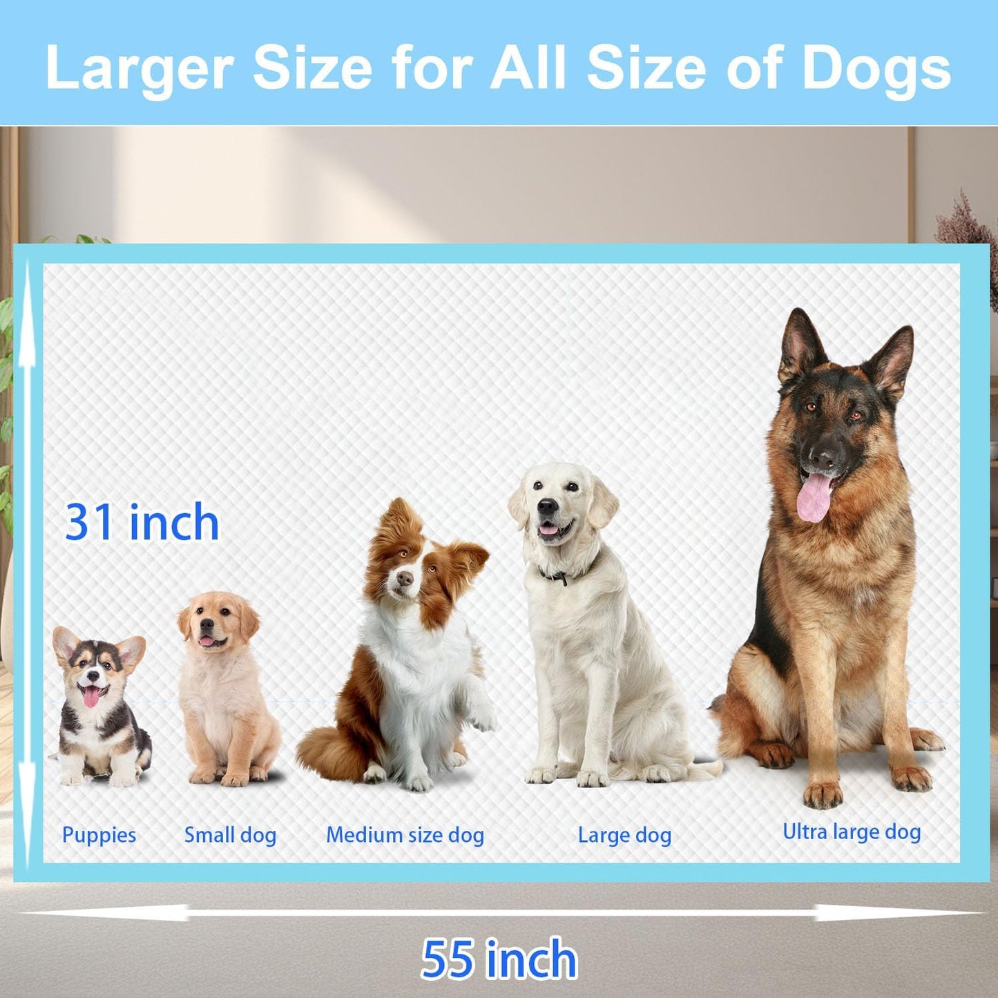 XXXXL Puppy Pee Pads for Dogs 31"x55" 40 Count, Extra Large Dog Pee Pads, Leak-Proof & Super Absorbent Dog Pee Pads, Thicken Disposable Potty Pads Puppy Training Pads for Cats Rabbits