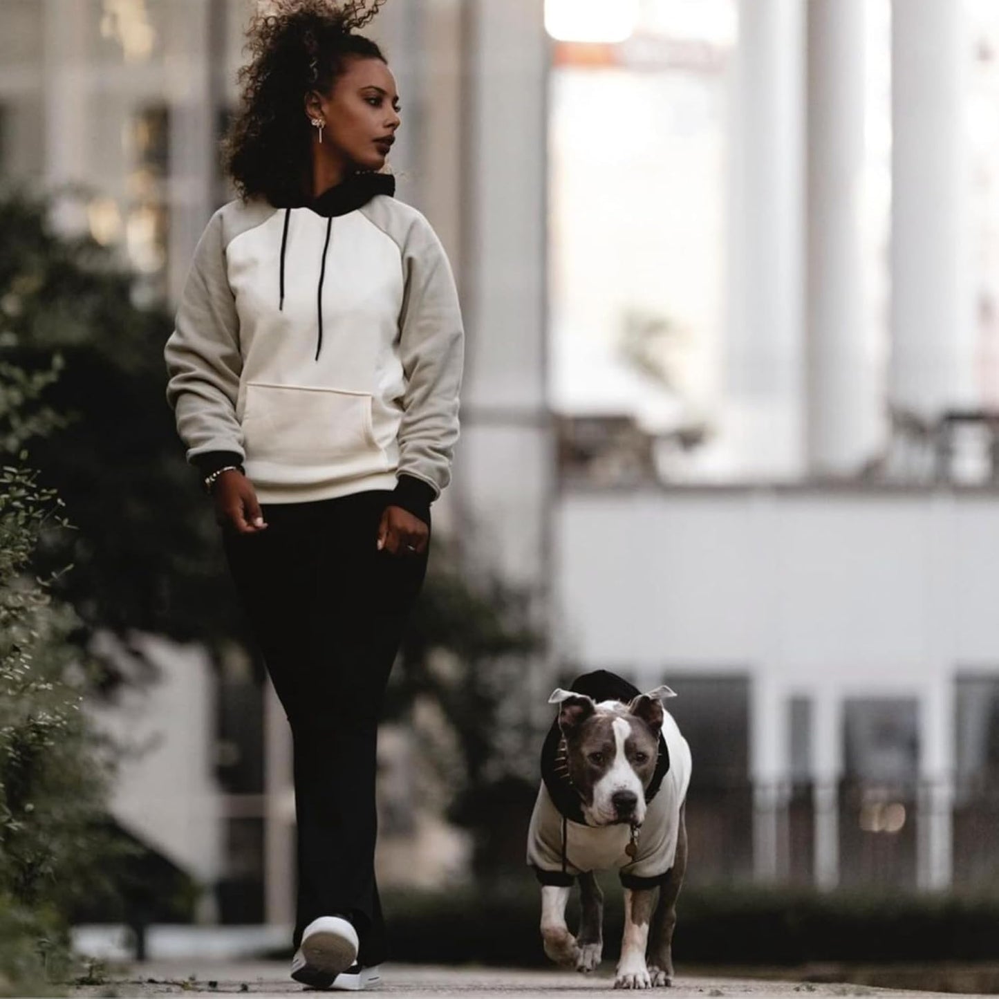 Spark Paws Dog Hoodie – Premium Dog Sweater for Small, Medium, and Large Dogs | Warm Outfits for French Bulldogs, Pitbull, Puppy, Winter Jacket Alternative - Olive Cream - 4XL