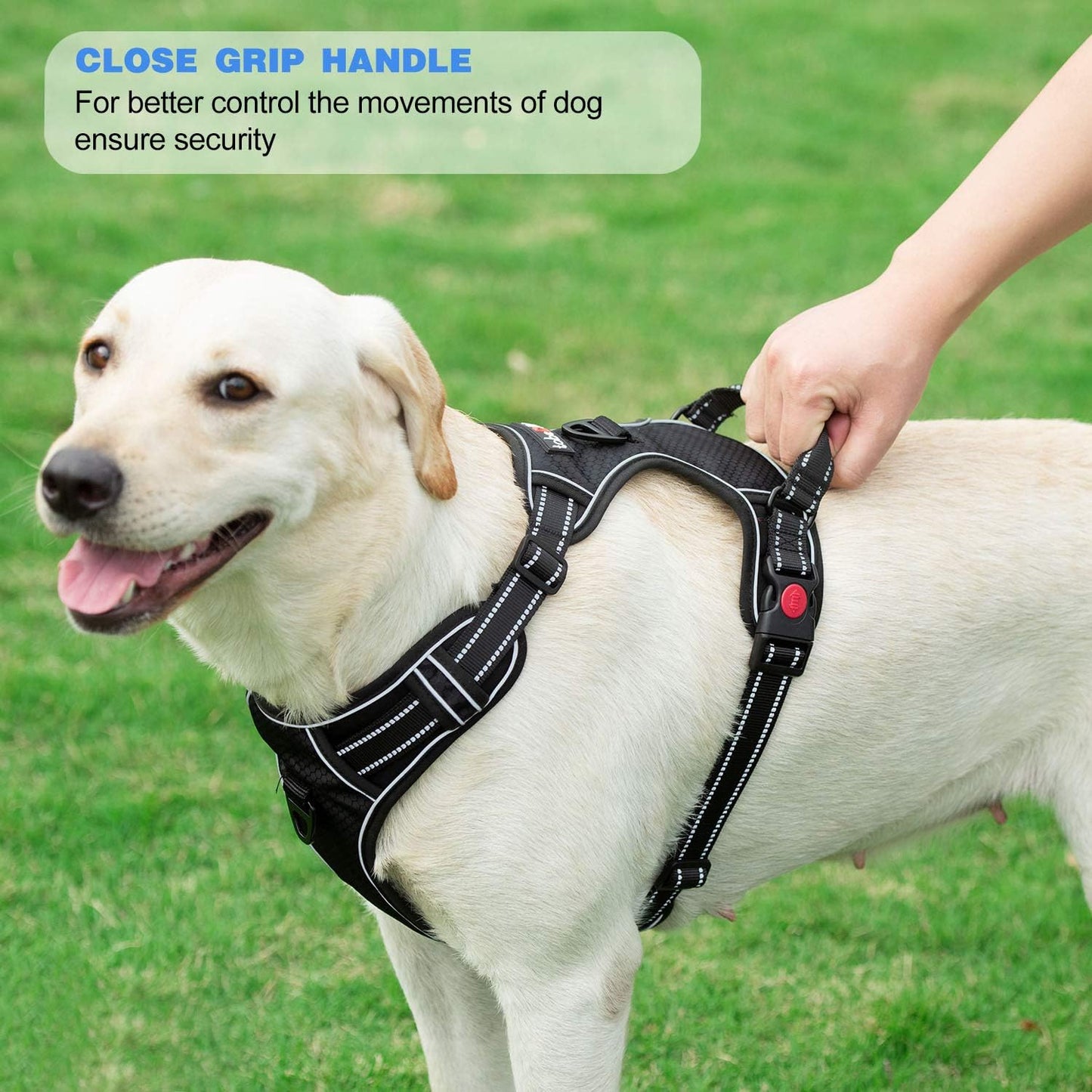 No Pull Dog Harness Adjustable Reflective Oxford Easy Control Medium Large Harness with A Free Heavy Duty 5ft Leash (L (Neck: 18"-25.5", Chest: 24.5"-33"), Purple)
