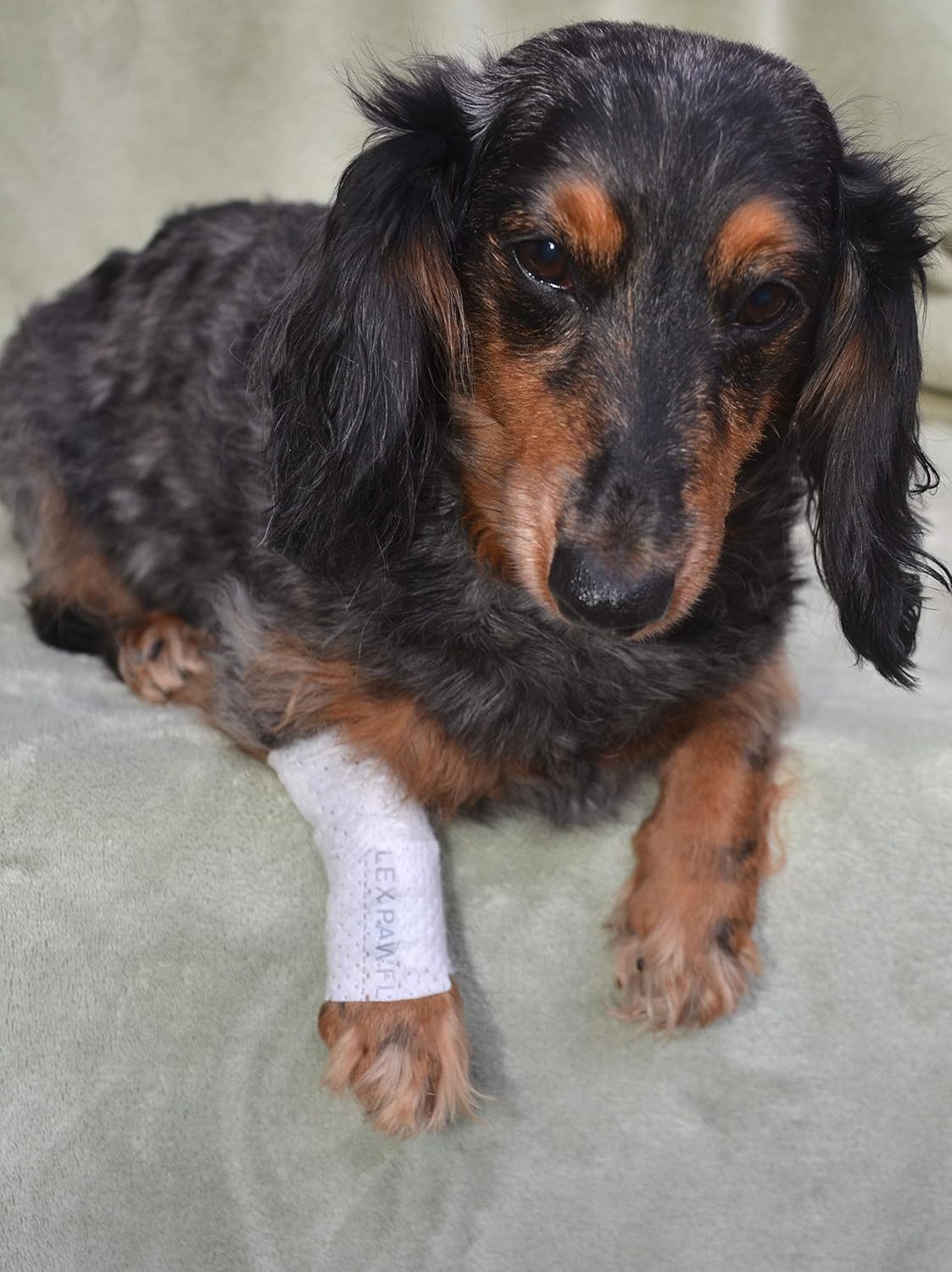 Protective Sleeve Tubular Cover - Bandages - for Dogs Cats and Other Pets First Aid Wound Care Comfortable Non-Adhesive Breathable & Water Resistant 12 Strips (yields 24-36 Covers)-(Large)
