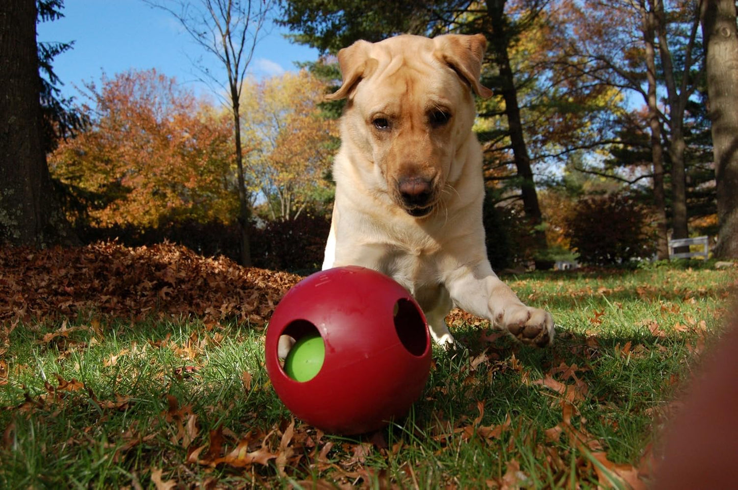 Jolly Pets Teaser Ball Dog Toy, Large/8 Inches, Red (Pack of 2)