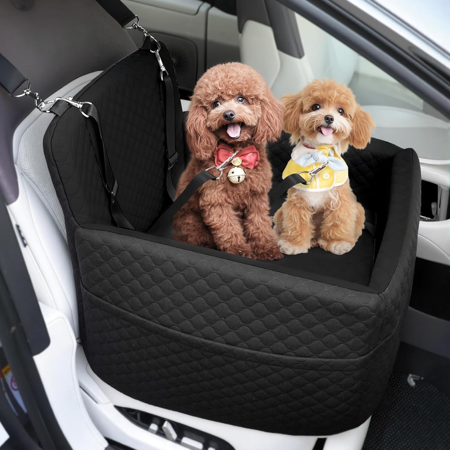 Carriers & Travel Products