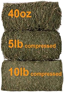 Grandpa's Best Timothy Hay Bale, 5lbs