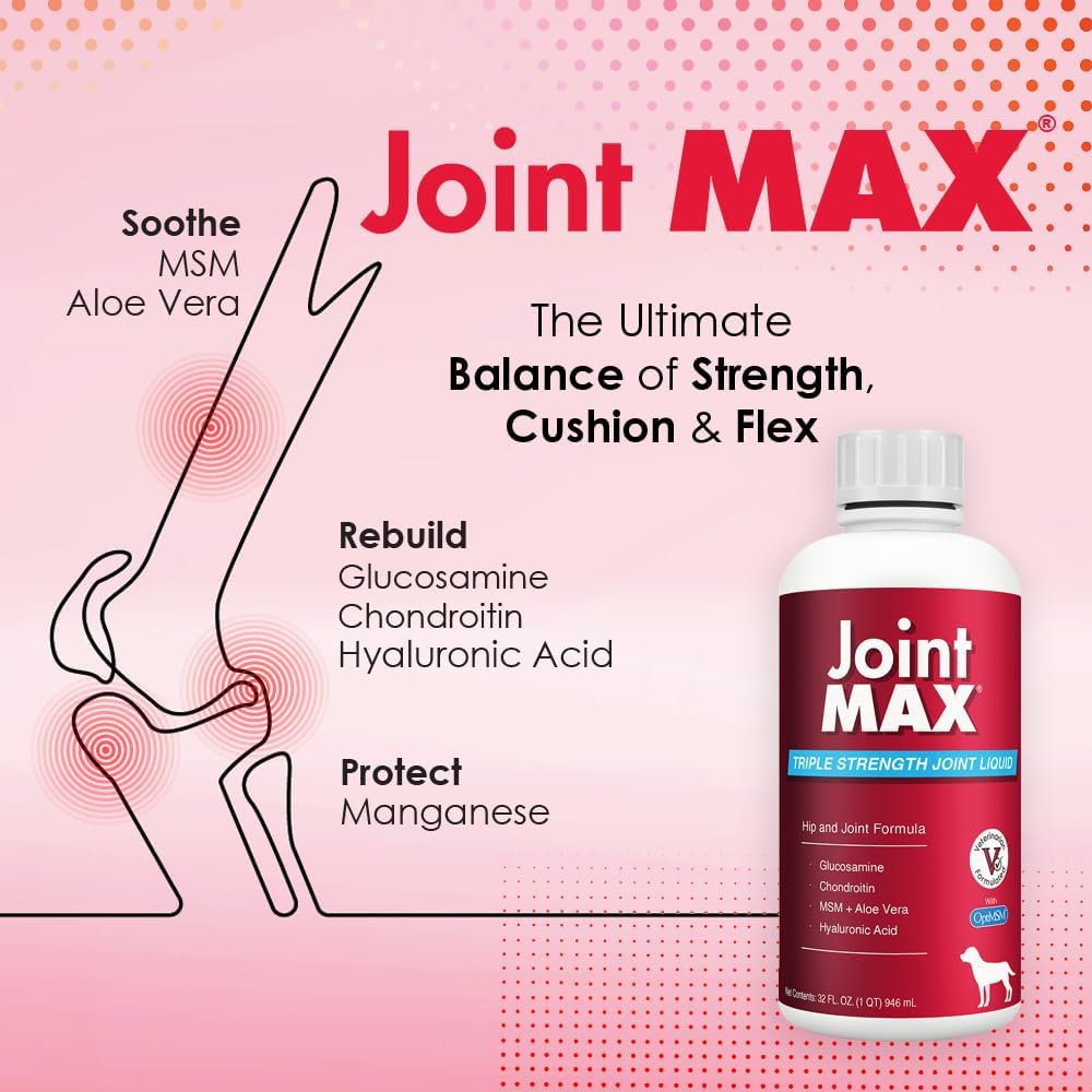 Liquid for Dogs - Vitamins, Minerals, Antioxidants - Glucosamine, Chondroitin - Beef Flavor - Maximum Joint Health Supplement for Dogs - 32 fl oz