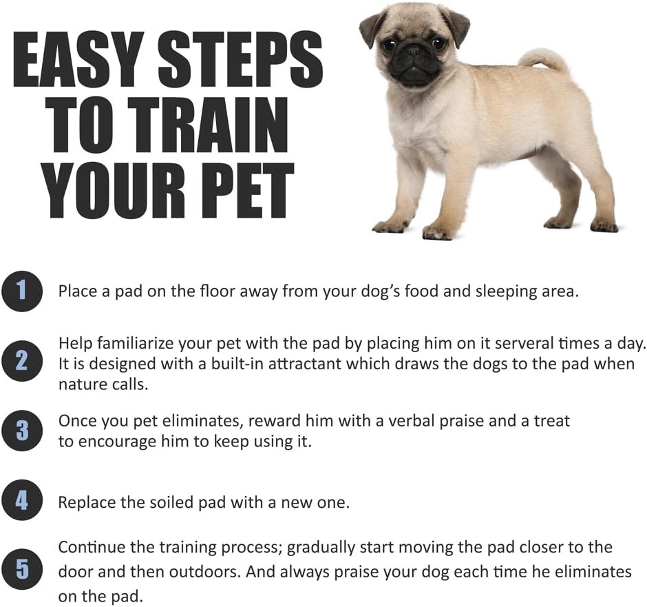 BV Puppy Pads XL 320 Count 28"x34" - Leak-Proof Pee Pads for Dogs with 6-Layer Design, Rapid Dry Sheet & Attractant - Dog Pad Extra Large with Odor Control - Perfect for Big Dogs & Indoor Use