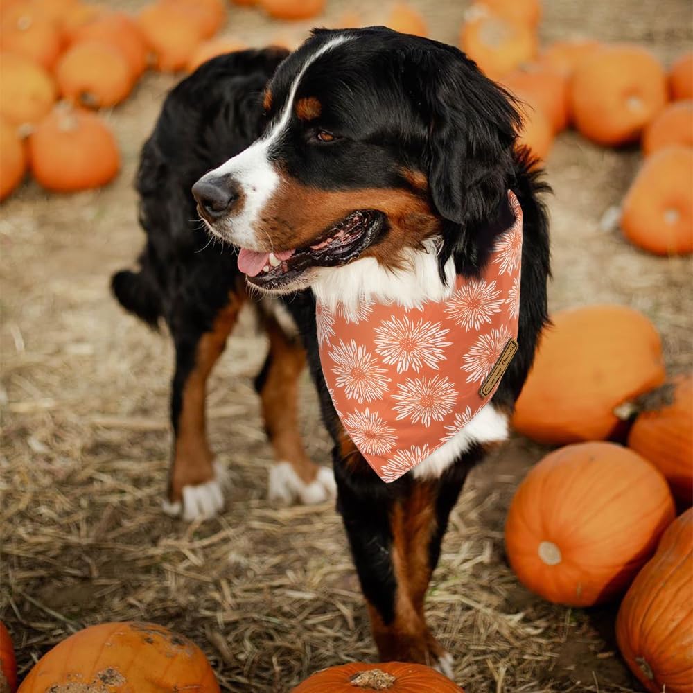 CROWNED BEAUTY Fall Dog Bandanas Reversible 2 Pack, Daisy Set, Buffalo Plaid Polka Dots Adjustable Triangle Scarves for Medium Large Extra Large Dogs Girl Boy Pets Orange DB64-L