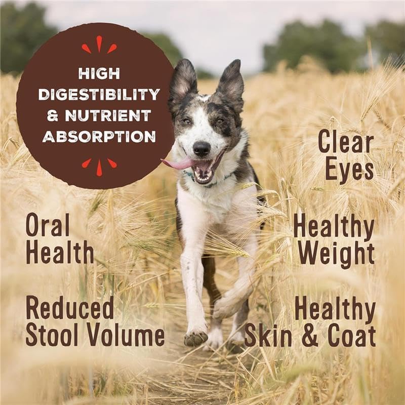 Primal Freeze Dried Raw Dog Food Nuggets, Venison, Complete & Balanced Meal, Also Use as Topper or Treat, Premium, Healthy, Grain Free, High Protein Raw Dog Food, 14 oz
