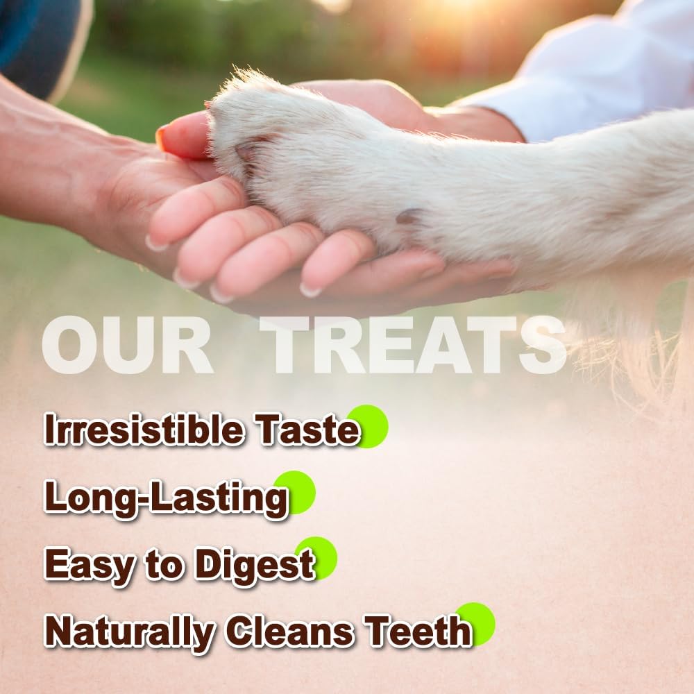 Afreschi Turkey Tendon Rope (M) 3.17 oz, USA-Sourced Turkey Tendon, All Natural Human Grade Dog Chew, Hypoallergenic, Rawhide Alternative, Dog Treats for Medium Breeds