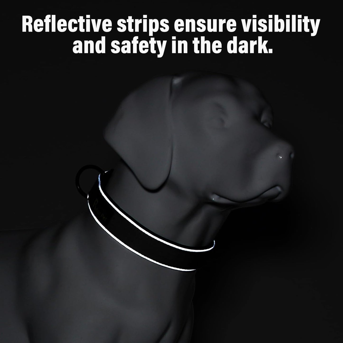 Plutus Pet Tactical Dog Collar, Reflective, Adjustable Heavy Duty Dog Collar, Soft Padded and Comfortable, for Small Medium and Large Dogs (Cyan, L)