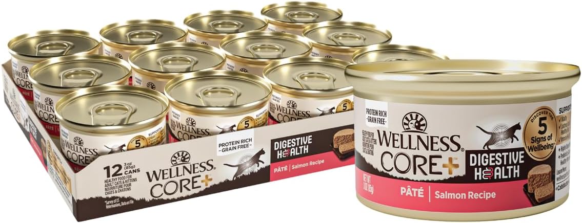 Wellness CORE+ Digestive Health Pate Adult Wet Cat Food, Natural, Protein-Rich, Grain Free, 3 Ounce, 12 Pack (Salmon)