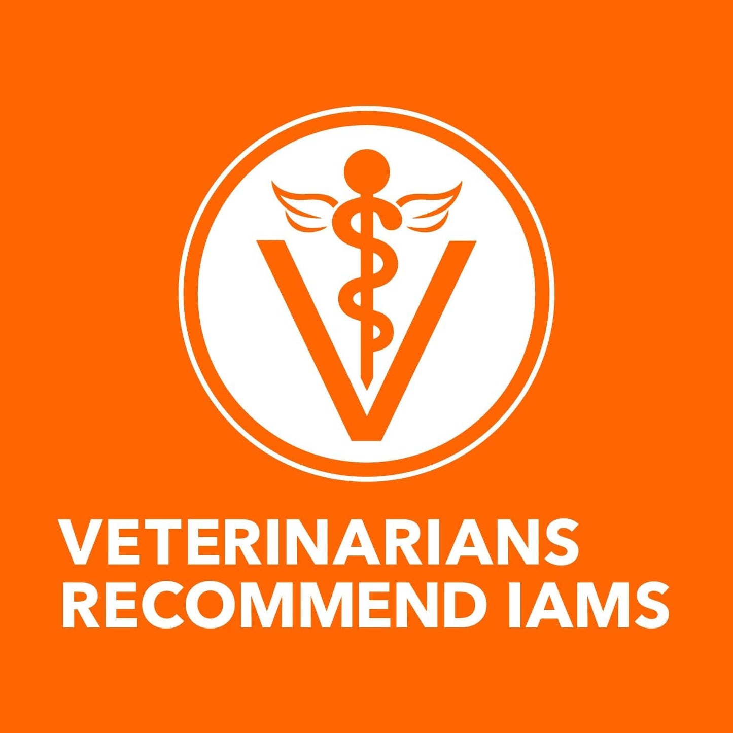 Iams IAMS PROACTIVE HEALTH Adult Sensitive Digestion & Skin Dry Cat Food with Real Turkey Cat Kibble, 3 lb. Bag