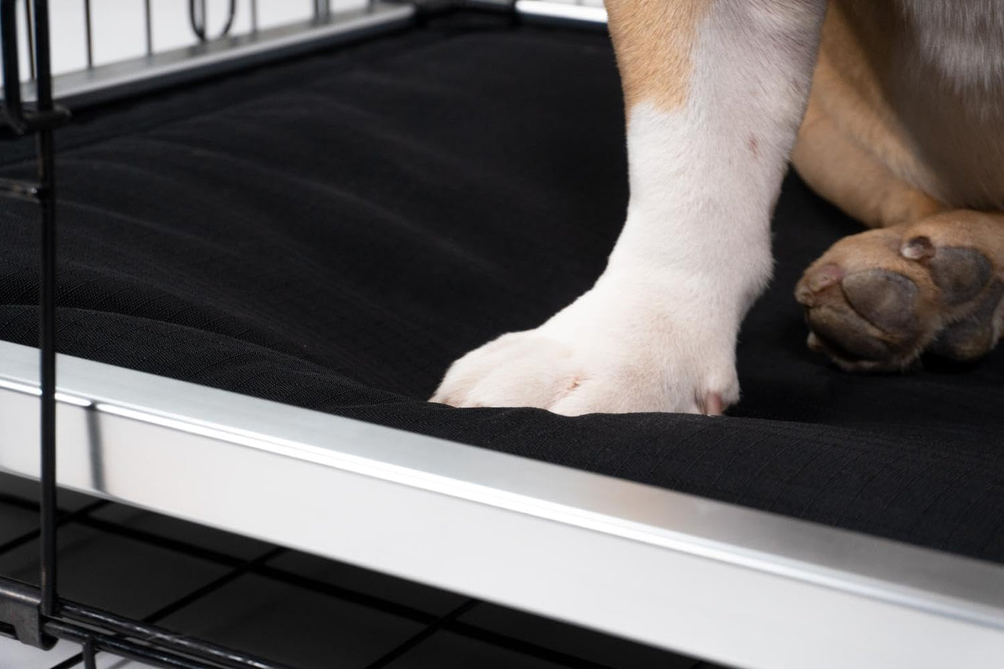 K9 Ballistics Chew Proof Armored Padded Dog Crate Bed, Virtually Indestructible, Legs Included (Obsidian Black, Medium (35" L x 22" W x 4.5" H))