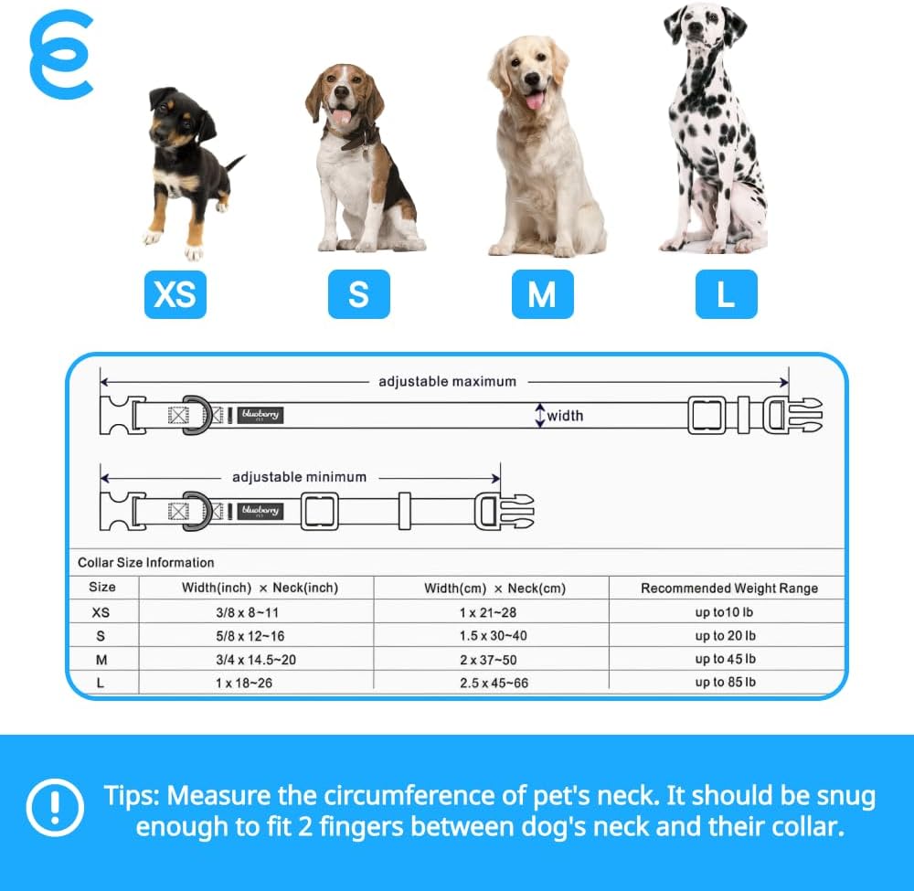 Blueberry Pet Essentials Small Dog Collar | Girl Dog Collars Fall | Female Dog Collar Small | Dark Orchid Dog Collars for Small Dogs | Quick Release Dog Collar | Dark Orchid Nylon Dog Collar