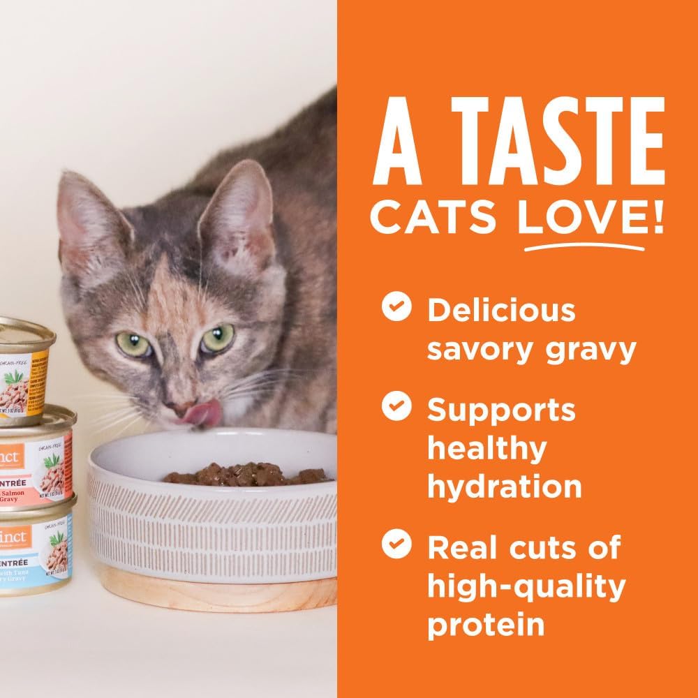 Instinct Flaked Entrée Wet Canned Cat Food - Salmon, 5.5 oz. Cans (Pack of 12)