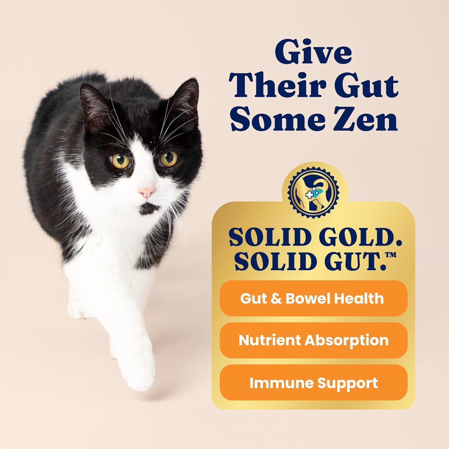 Solid Gold High Protein Dry Cat Food - Grain Free & Gluten Free Chicken Cat Dry Food w/Probiotics for Gut Health & Digestion - High Fiber & Omega 3 - Low Carb Superfood Kibble for Cats All Ages - 6LB