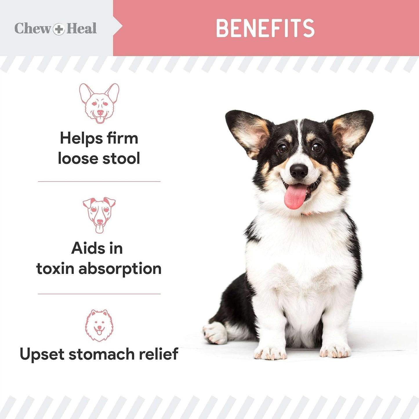 Chew + Heal Labs Anti Diarrhea for Dogs 2oz - Fast Relief Liquid Dog Diarrhea Supplement with Kaolin Pectin Formula - Effective Diarrhea Treatment and Dog Health Upset Stomach Supplement