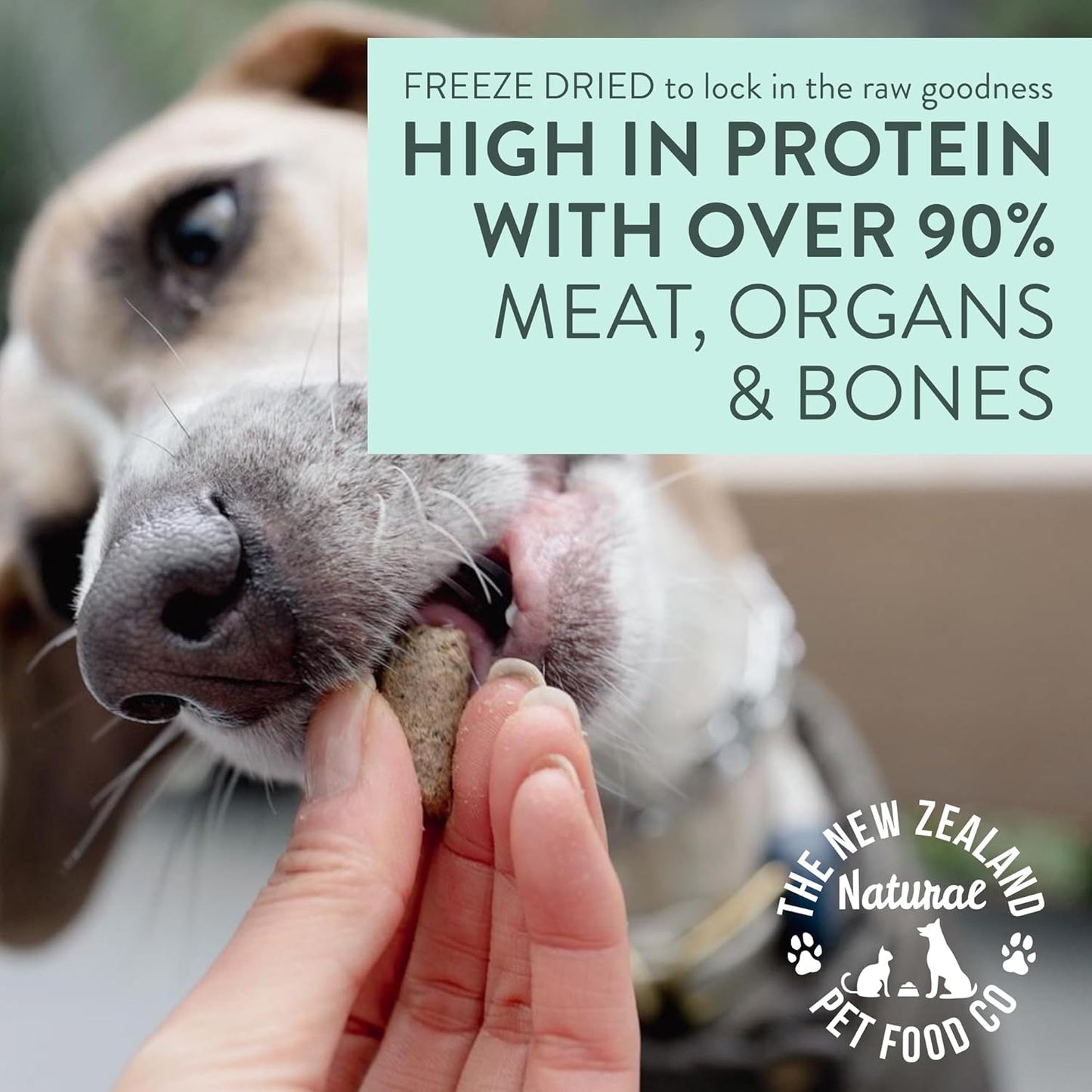 WOOF Freeze Dried Dog Food - Beef Recipe, High Protein Freeze Dried Dog Treats, Dog Food Topper & Meal, 2.2 lb