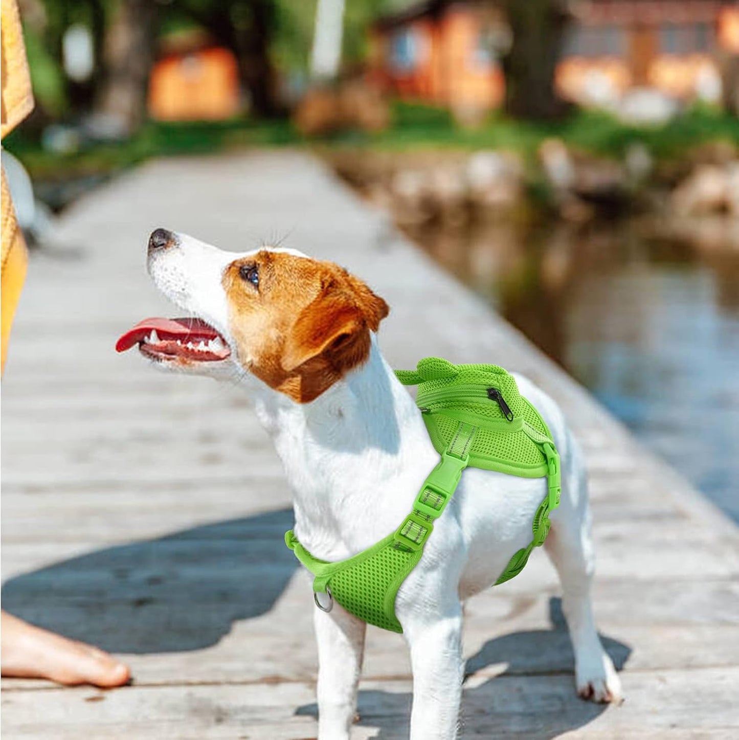 IDOMIK Dog Backpack Harness, No-Pull Dog Backpack with D-Ring for Small Medium Dogs, Cute Self Carrier Backpack for Dogs to Wear, Adjustable Dog Harness Backpack for Traveling Camping Hiking, Frog, XS