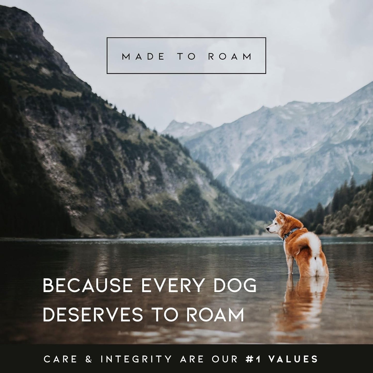 MADE TO ROAM Premium Explorer Harness - Y-Shaped Dog Harness with Adjustable Durable Nylon, Soft Padding, Metal Buckles and Leather Handle for Small, Medium, Large Dogs (California Horizon, Size 2)