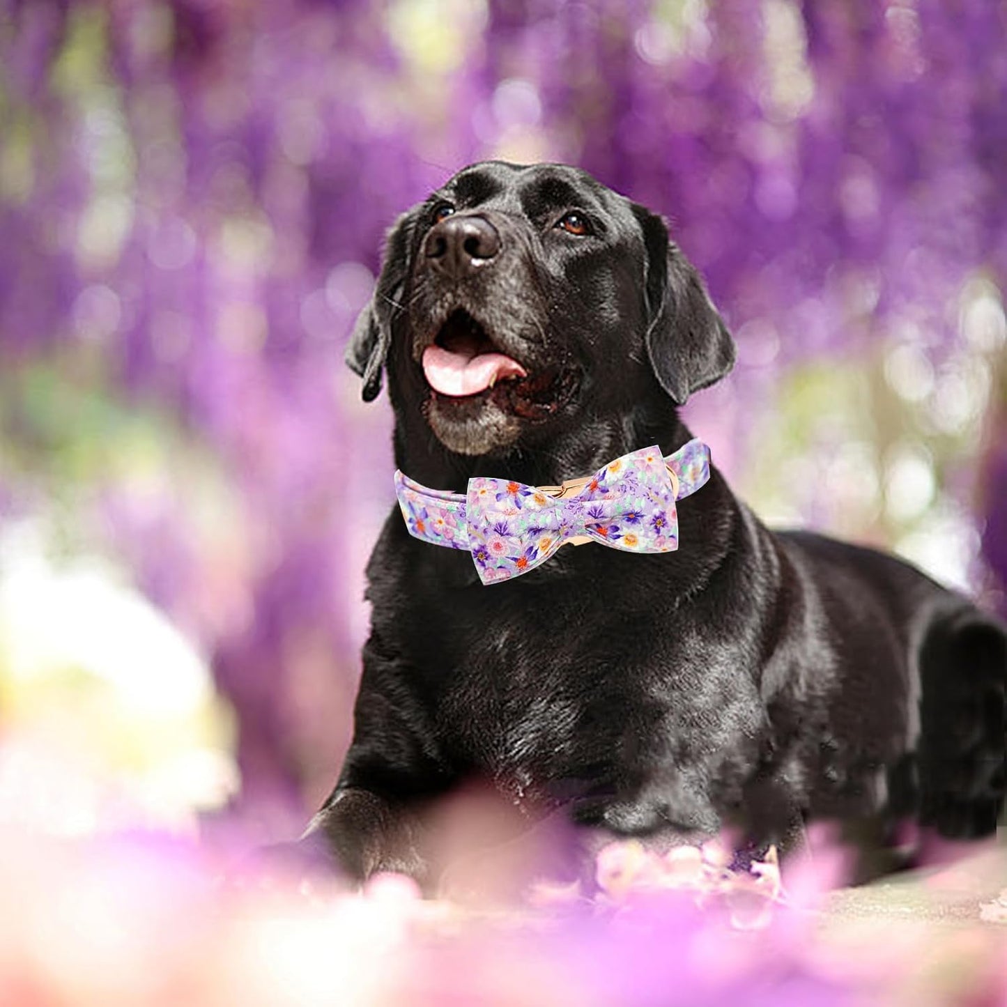 Elegant little tail Dog Collar, Rose Print Pet Collar Summer Dog Collar Durable Metal Buckle Dog Collars Cotton Pet Adjustable Dog Collars for X-Small Dogs