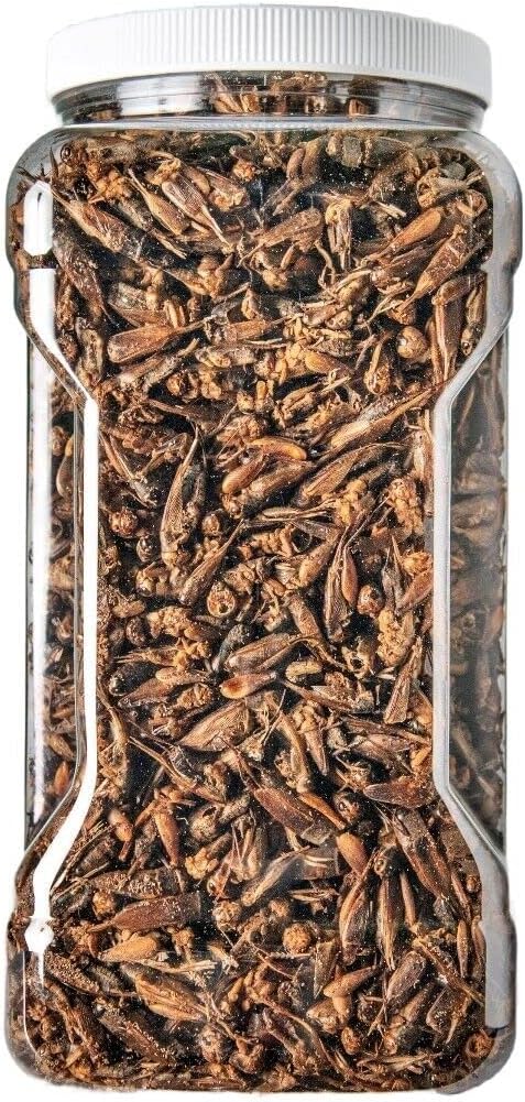 Aquatic Foods Inc. Crickets - Freeze Dried Crickets for Tropical Fish, Reptiles, Turtles, Tortoises Frogs, Hamsters, Birds, Rodents…2oz Small Jar