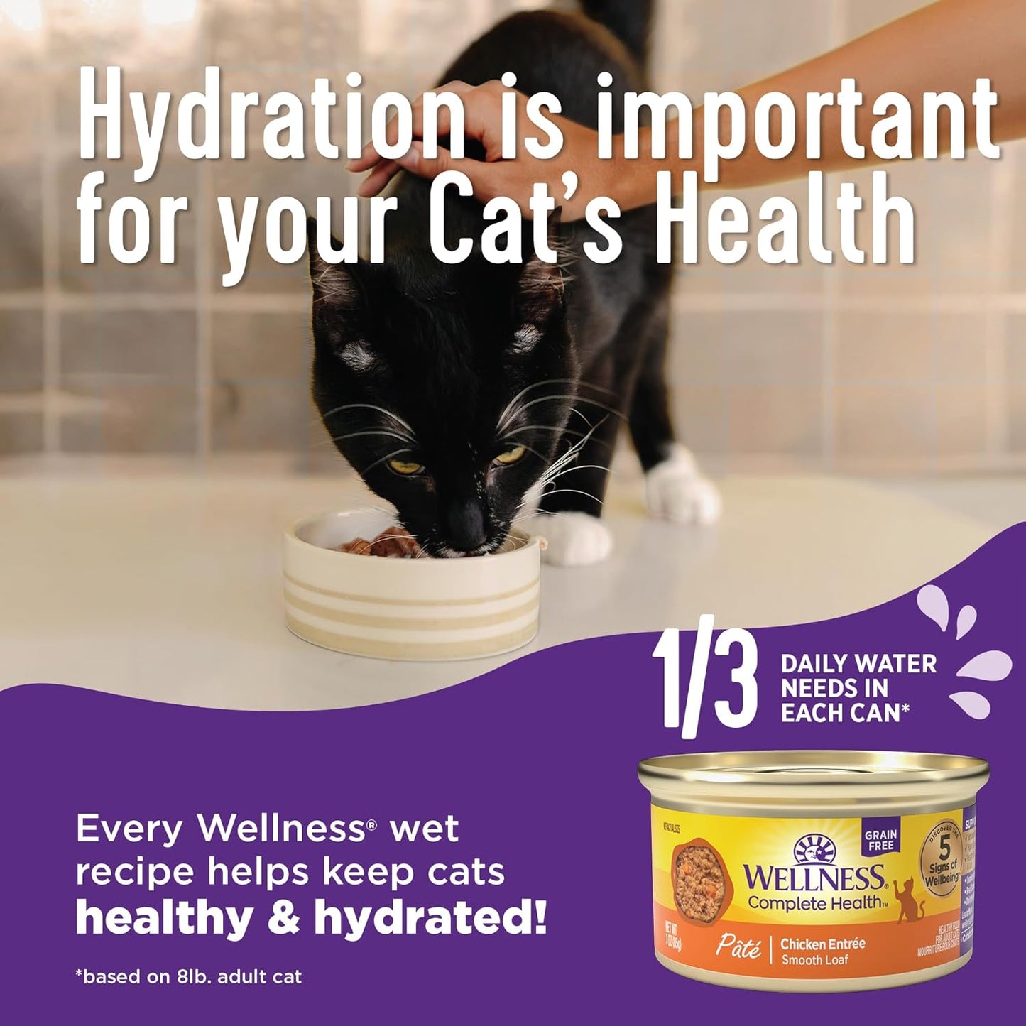 Wellness Complete Health Minced Adult Wet Cat Food, Natural, Protein-Rich, Grain Free, 3 Ounce, 24 Pack, (Turkey Entrée)