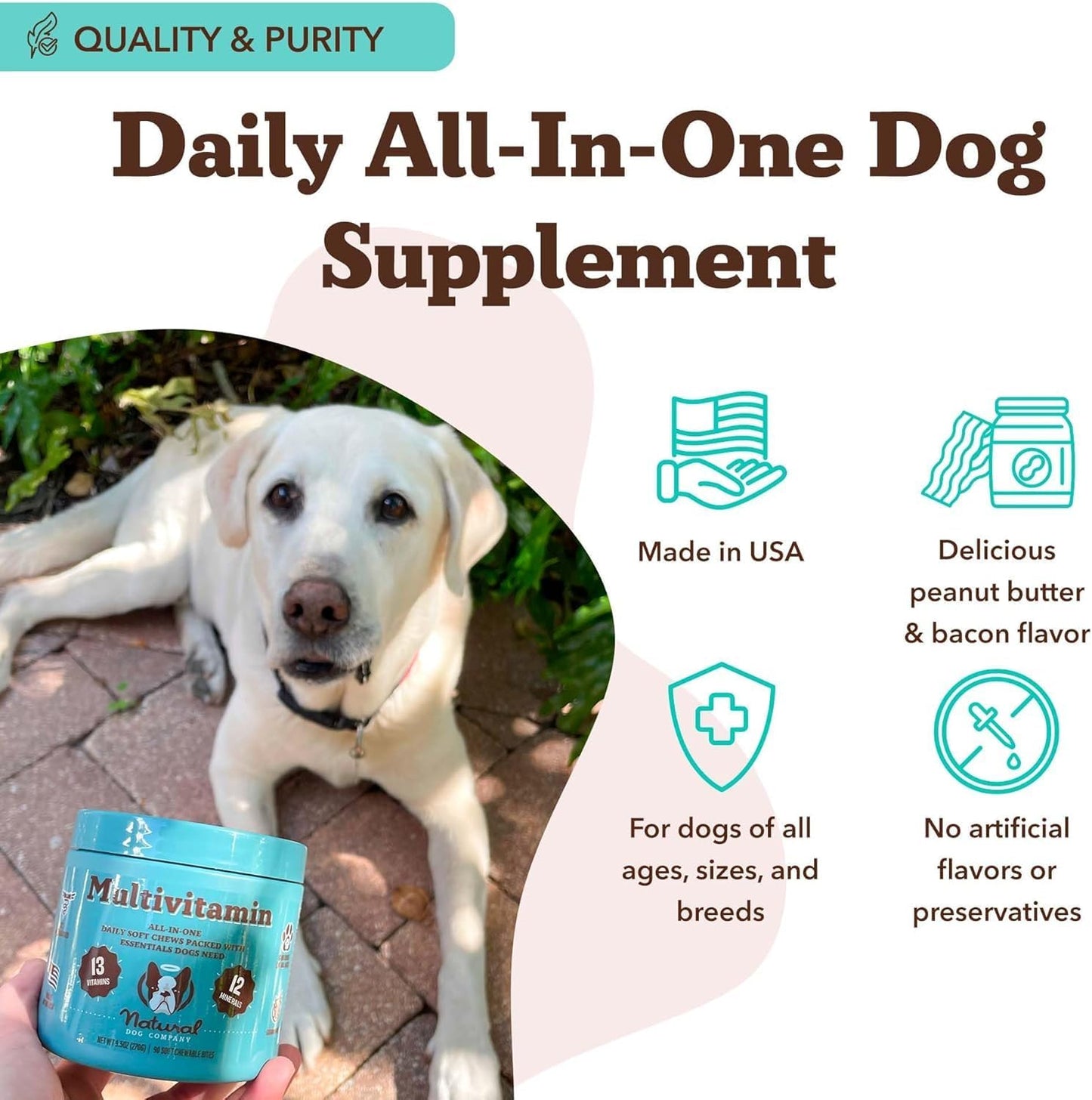 Natural Dog Company 25 in 1 Multivitamin for Dogs – Daily Soft Chews with Vitamins, Minerals & Antioxidants, Immune & Joint Support, for All Ages, Sizes & Breeds, Bacon & Peanut Butter – 90 Count