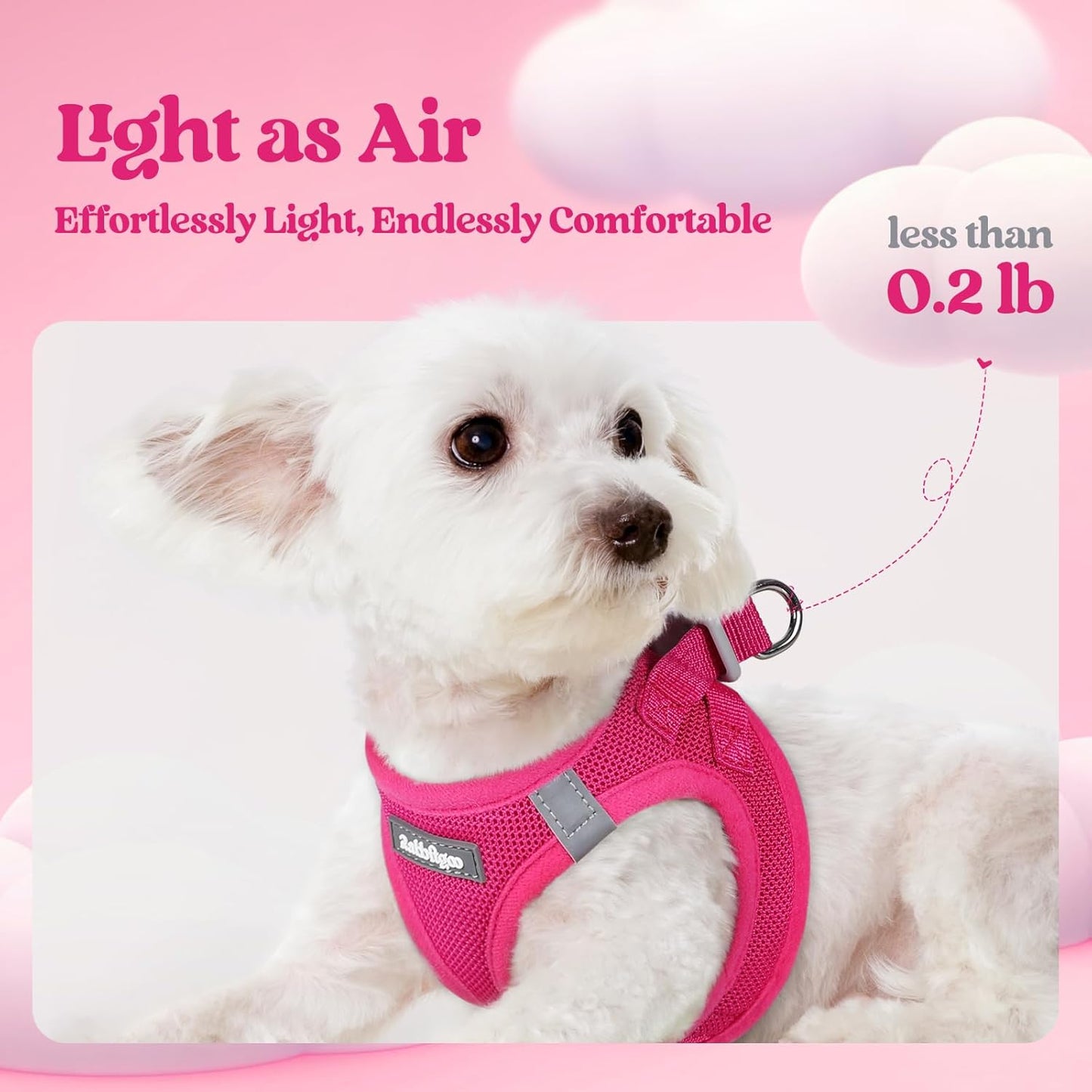 rabbitgoo Dog Harness Small Sized and Leash Set, Step in Soft Light Puppy Vest, Breathable Mesh Pet Harness, Reflective for Safe Easy Walking, Rose Red S