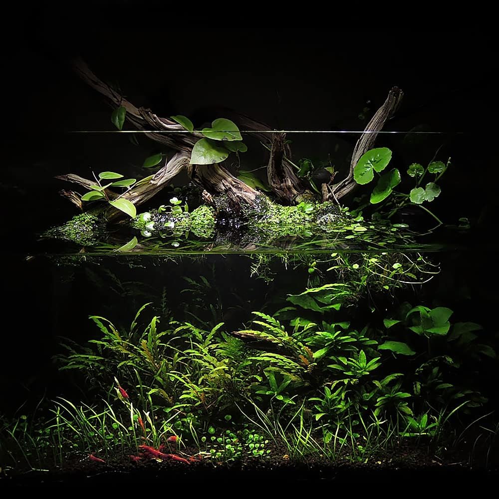 Ultum Nature Systems Controsoil - Freshwater Aqua Soil Substrate for Fish, Shrimp, Live Plant Propagation and Aquascaping - 6.8pH Low Ammonia, Volcanic Ash - Black, Extra Fine (10 Liter | 20LB)