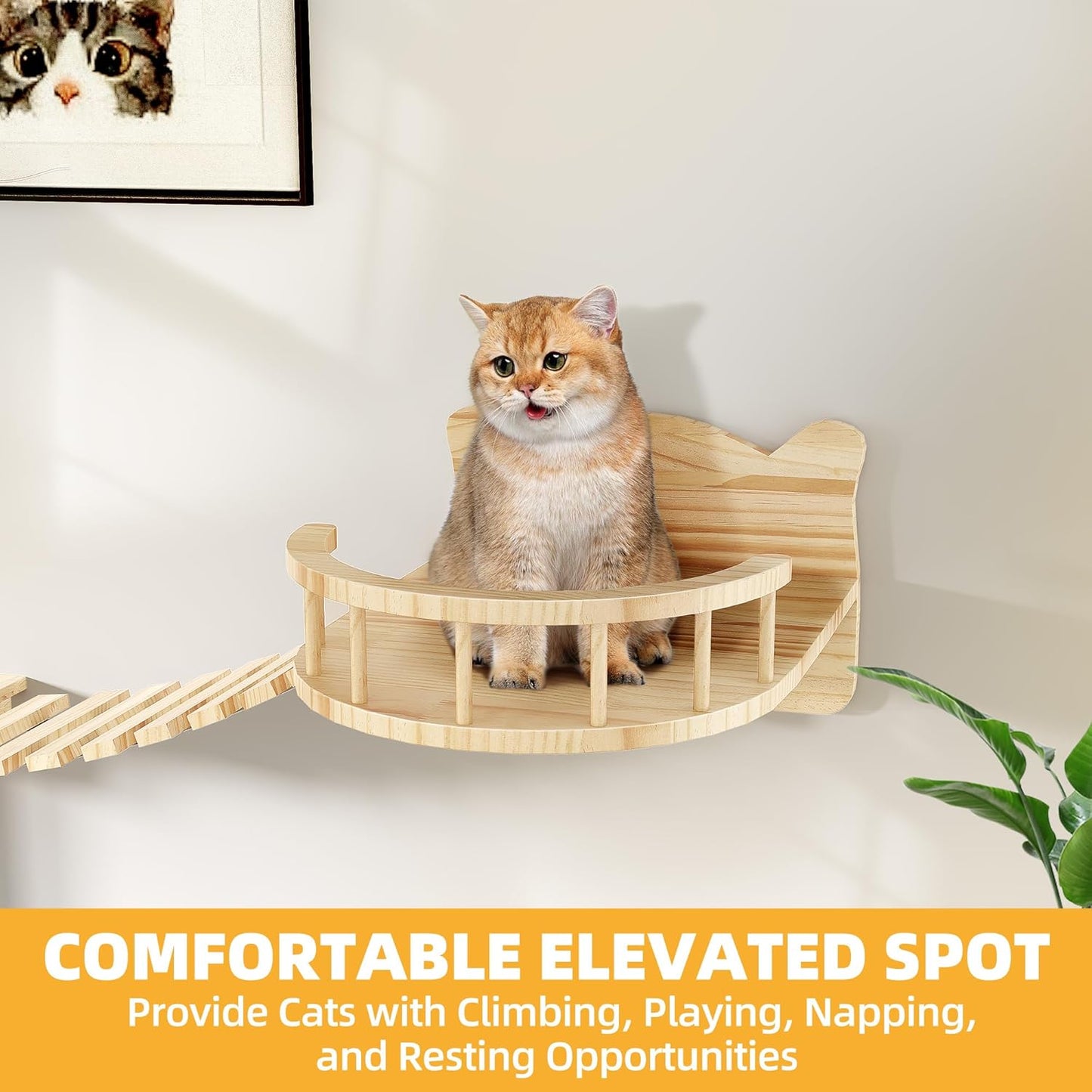 Cat Wall Shelves, Cat Wall Furniture Pine Wooden Feline Shelf, 9 Piece Shelves and Perches with Bed, House, Steps, Bridge Ladder and Scratching Post