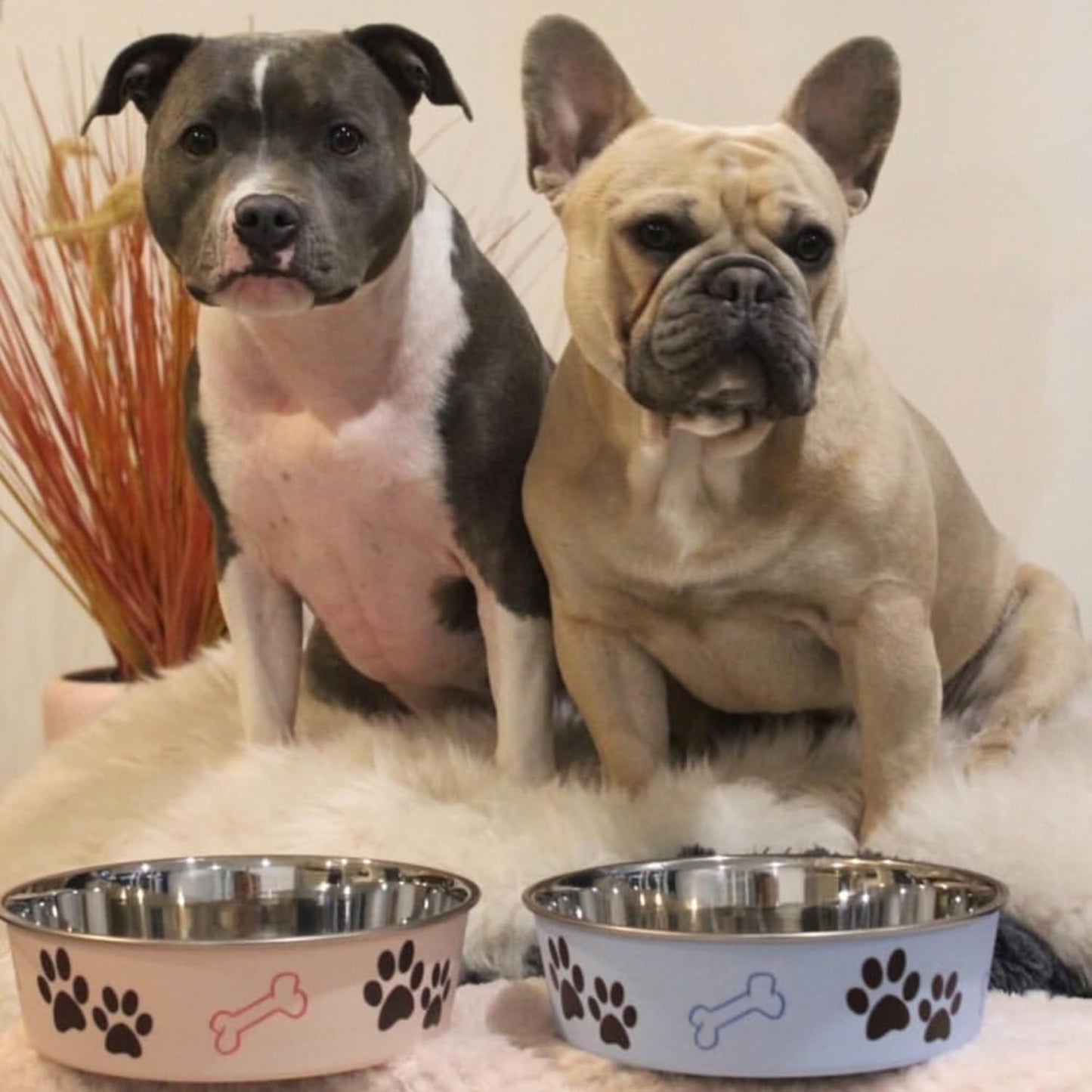 Loving Pets Bella Bowls Murano Blue (Large)