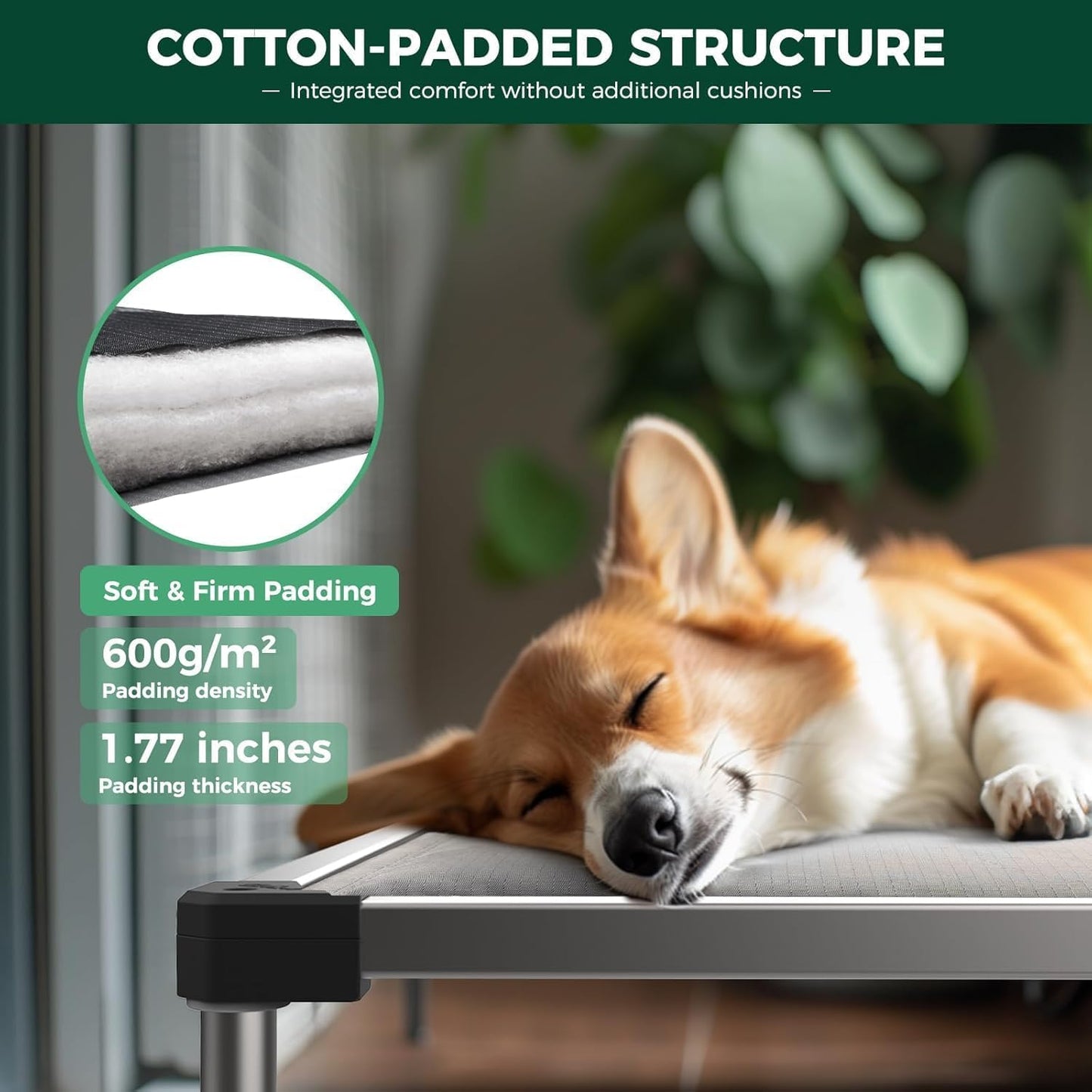 FXW TitanNest Chew-Proof Elevated Dog Bed, Raised Cot for Indoor/Outdoor/Camping Use, Durable & Washable Padded Pet Bed for Small Dogs, 35.0" L x 22.0" W x 4.5" H, Gray
