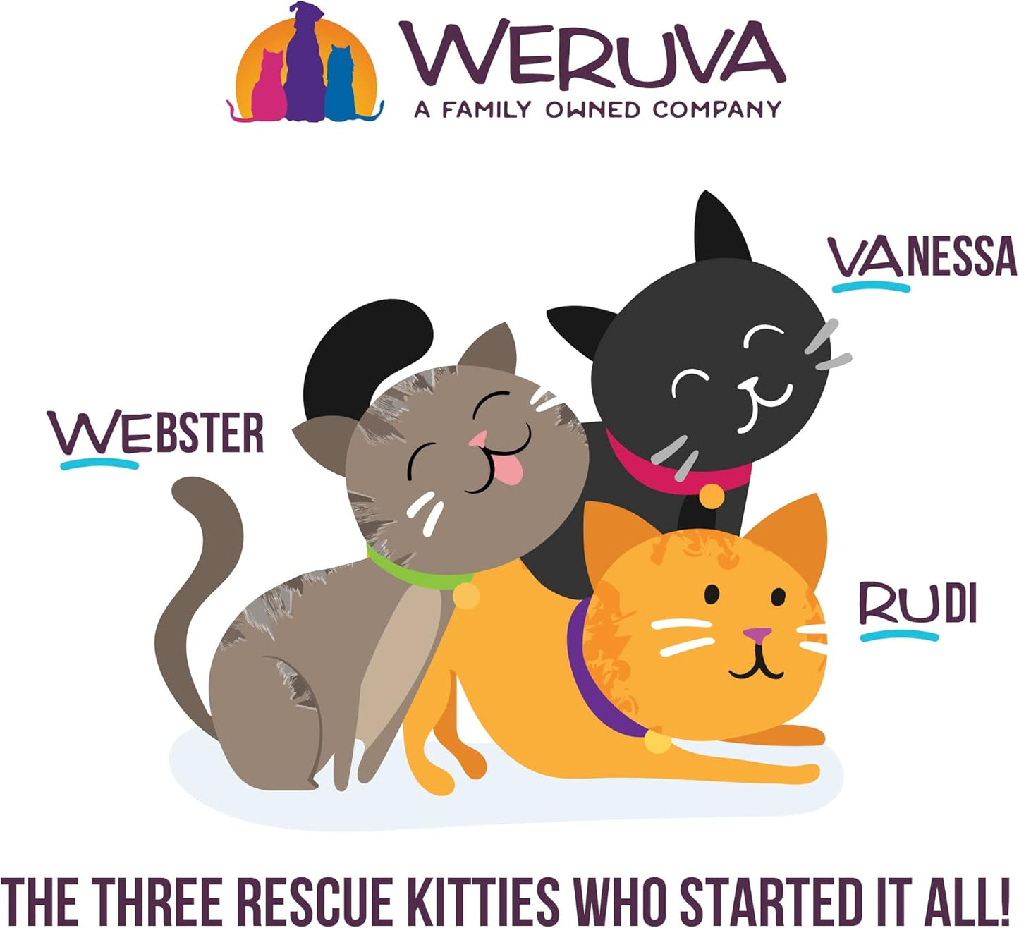 Weruva B.F.F. Play - Best Feline Friend Paté Lovers, Aw Yeah!, Salmon & Tuna Tuck Me in with Salmon & Tuna, 2.8oz Can (Pack of 12)