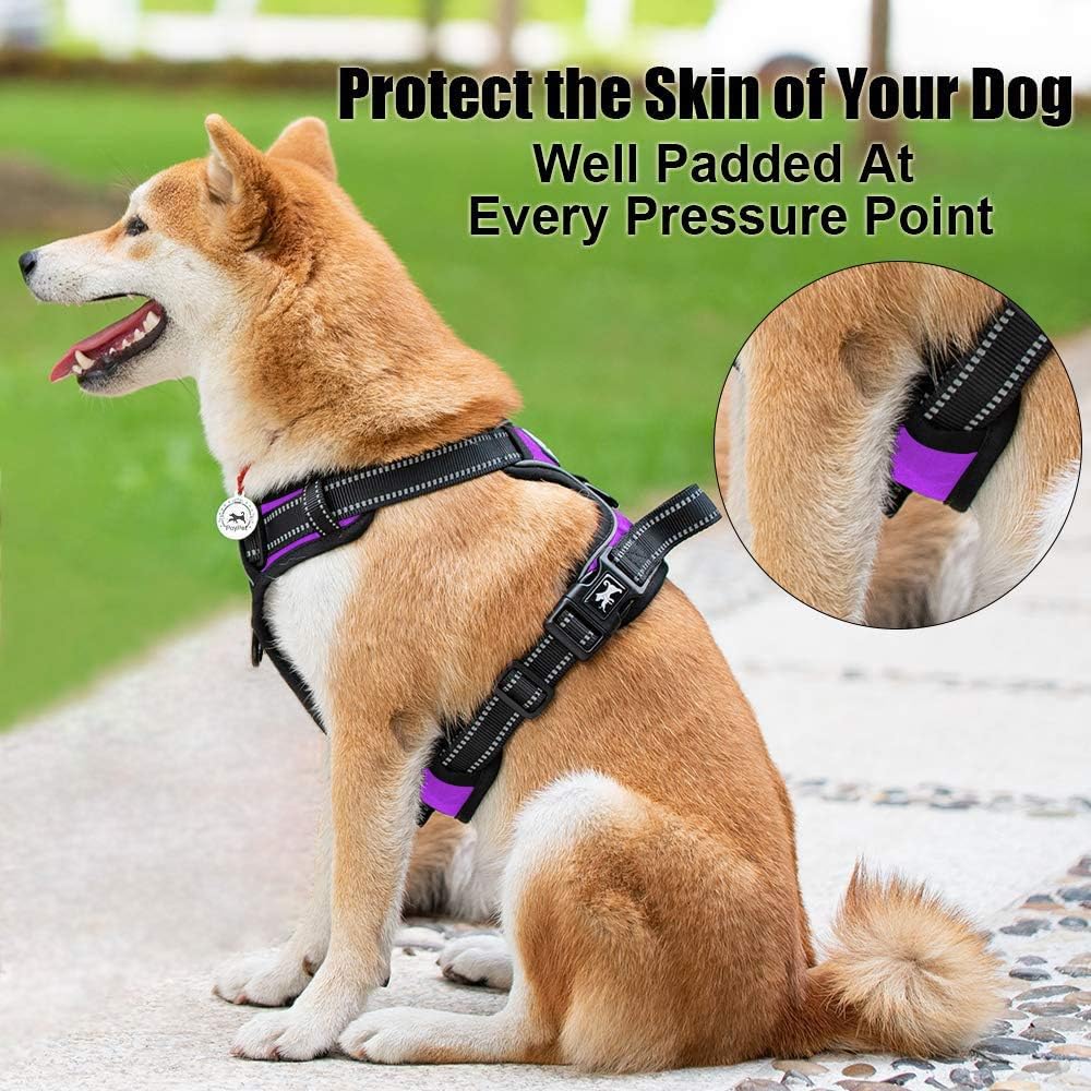 PoyPet No Pull Dog Harness, Reflective Comfortable Vest Harness with Front & Back 2 Leash Attachments and Easy Control Handle Adjustable Soft Padded Pet Vest for Small to Large Dogs (Purple,XS)
