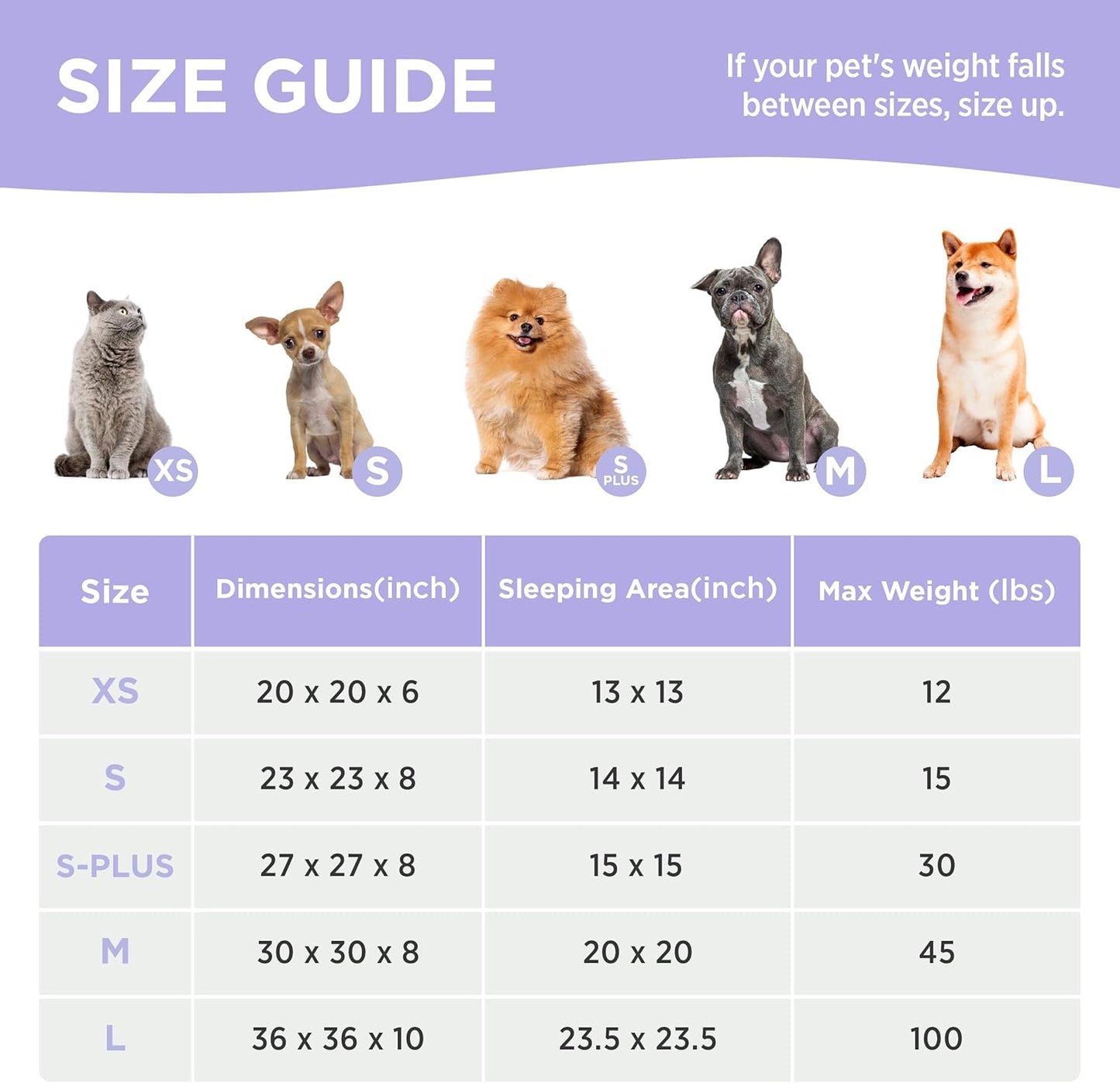 Lesure Donut Medium Dog Bed - Round Cat Beds for Indoor Cats Calming Pet Beds, Cute Modern Beds with Jacquard Shaggy Plush & Anti Slip Bottom, 30 Inch, Purple
