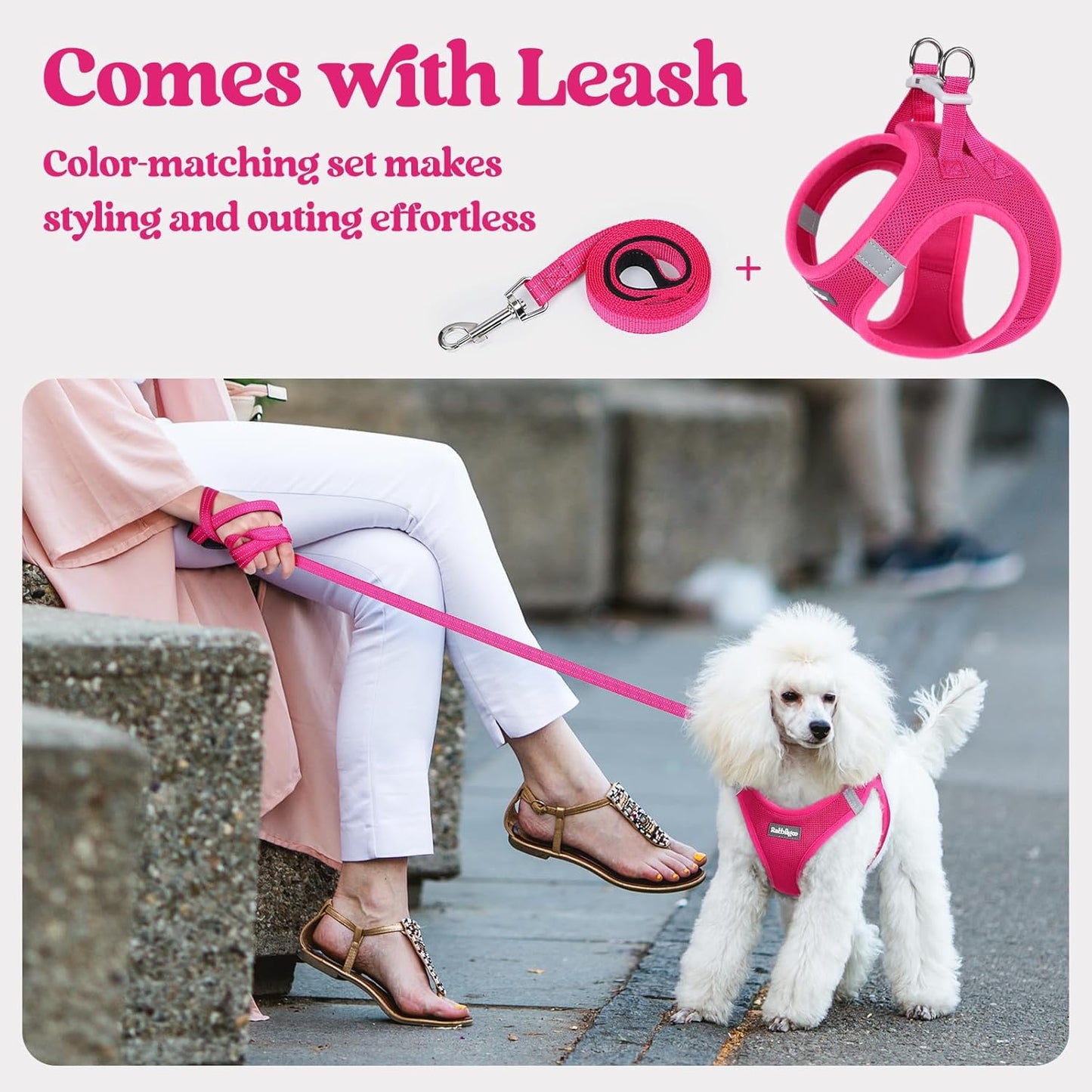 rabbitgoo Dog Harness Small Sized and Leash Set, Step in Soft Light Puppy Vest, Breathable Mesh Pet Harness, Reflective for Safe Easy Walking, Rose Red XXS