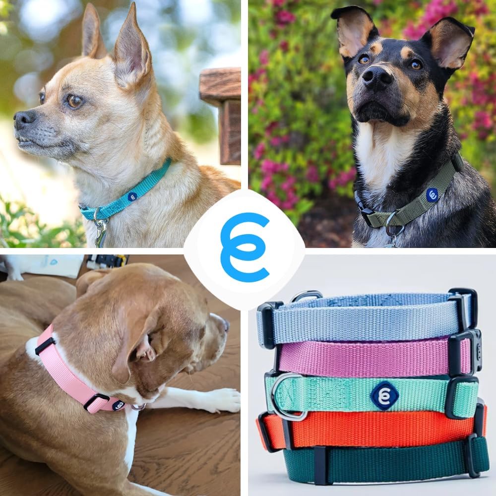 Blueberry Pet Essentials Lavender Dog Collar for Large Dogs | Adjustable Classic Nylon Dog Collars | Comfortable Dog Collar | Stylish Dog Collar for Pet Lovers | 18-26'' Neck