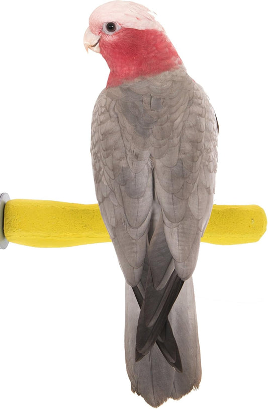 Comfort Grip Safety Perch for Bird Cages - Pedicure Perch for Birds to Keep Nails and Beaks in Top Condition - Safe Easy to Install Bird Cage Accessories - M 8.5"