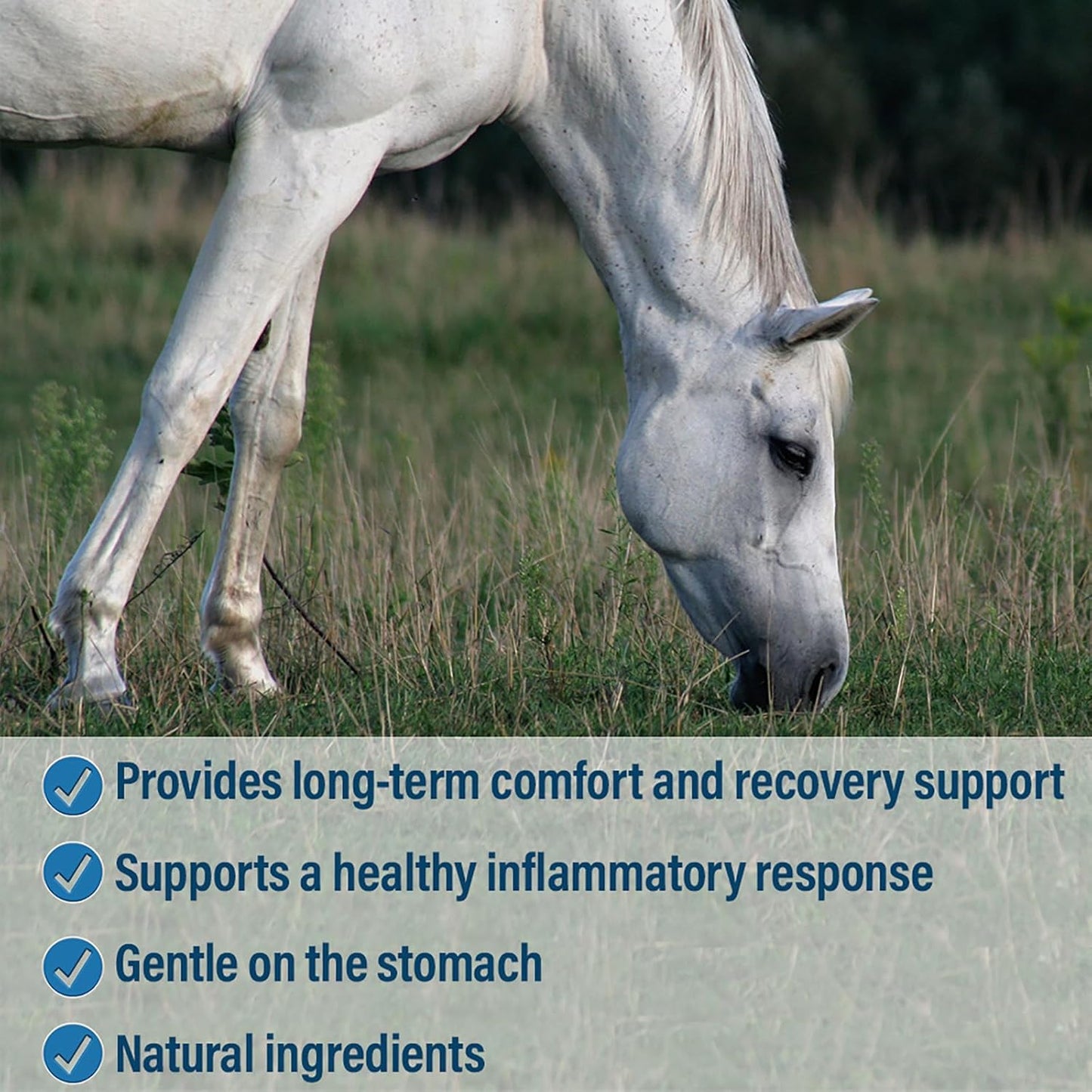 Absorbine Bute-Less Comfort & Recovery Support Supplement, Provides Long-Term Comfort, Gentle on Stomach, Includes Devil’s Claw, Vitamin B-12, Yucca, 10 lb / 160 Day Supply