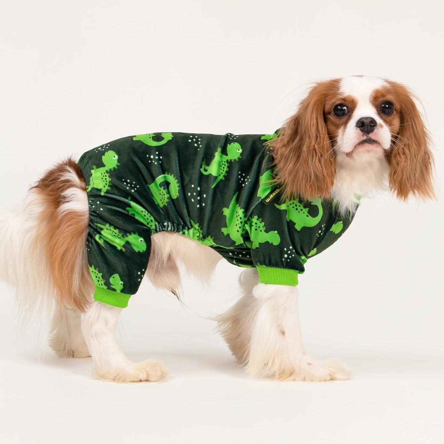 Fitwarm Dinosaur Dog Fleece Pajamas, Warm Clothes for Small Dogs Boy, Cozy Pet Onesie with Feet, Dark Green, Bright Green, Medium