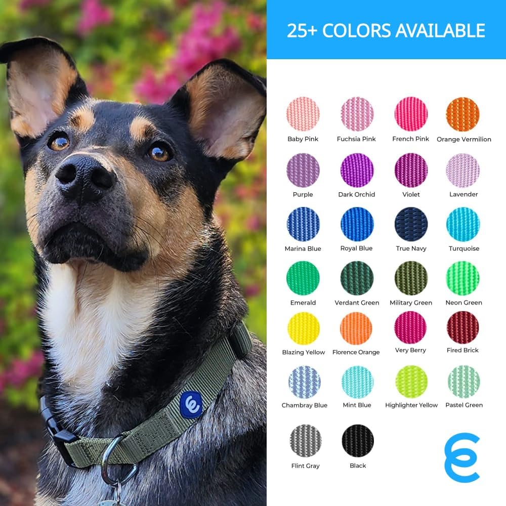 Blueberry Pet Essentials Dog Collar | Adjustable Girl Dog Collars for Medium Dogs | Pastel Green Puppy Collar | Classic Nylon Dog Collars for Small Dogs | Pet Accessories