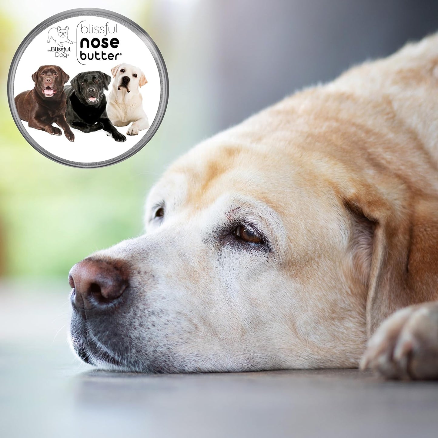 The Blissful Dog Labrador Retriever Unscented Nose Butter, 4-Ounce
