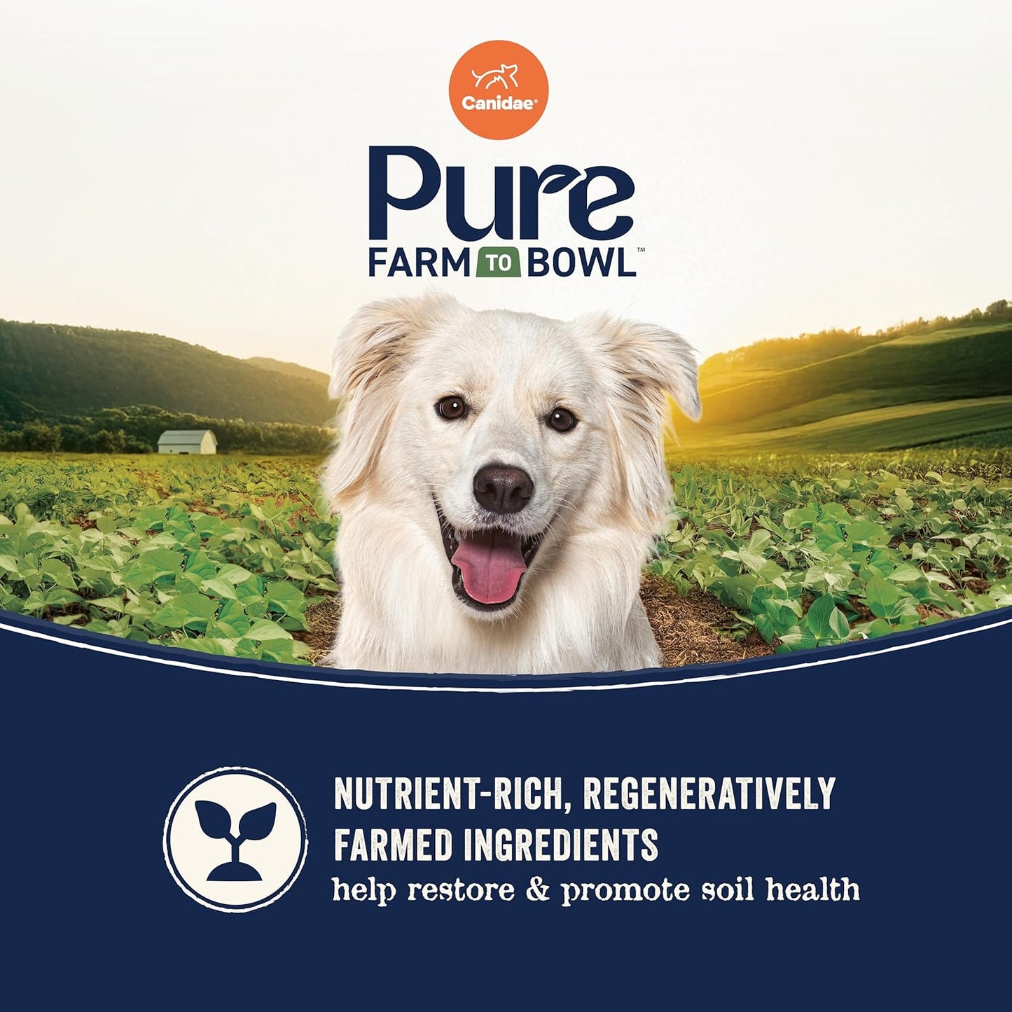 CANIDAE Pure Farm to Bowl Wild-Caught Salmon & Barley, Adult, Dry Dog Food, 22lb