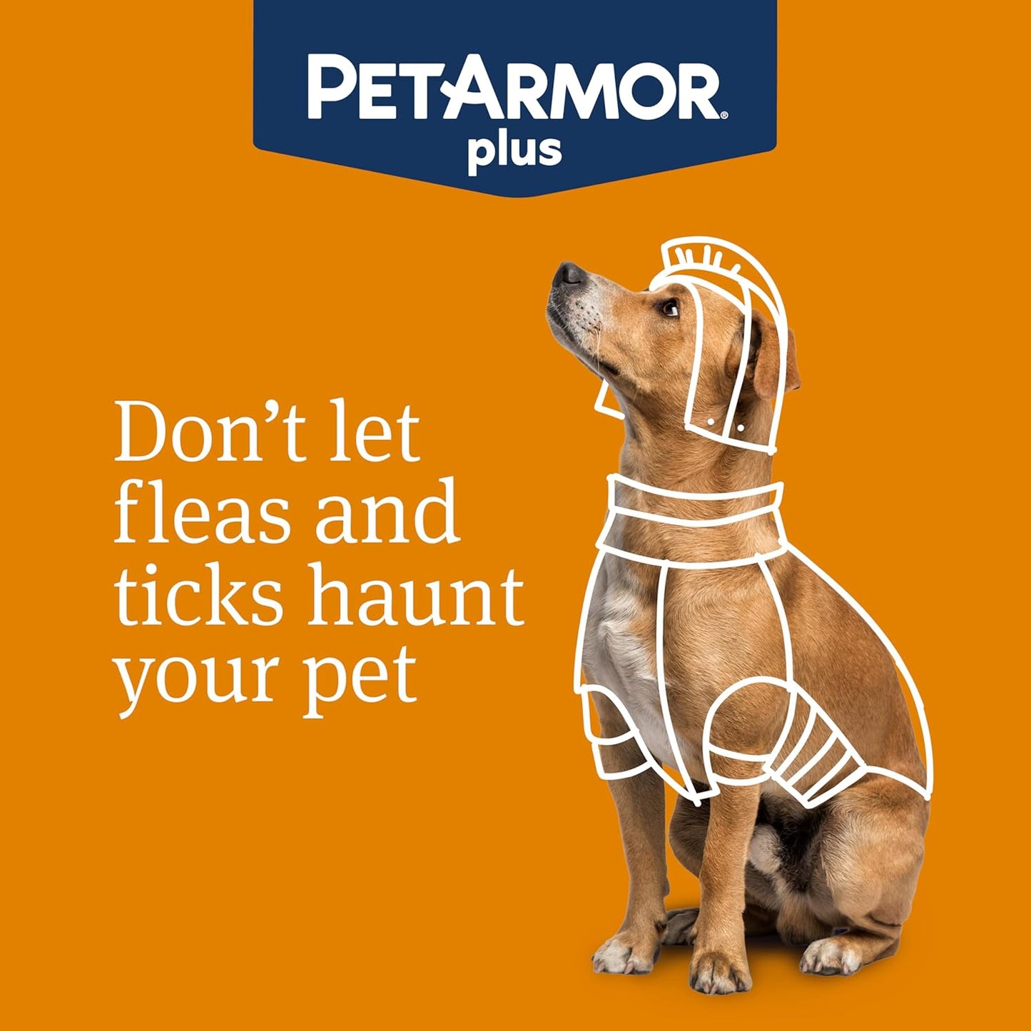 PetArmor Plus Flea and Tick Prevention for Dogs, Small Dog Flea and Tick Treatment, 12 Doses, Waterproof Topical, Fast Acting (5-22 lbs)