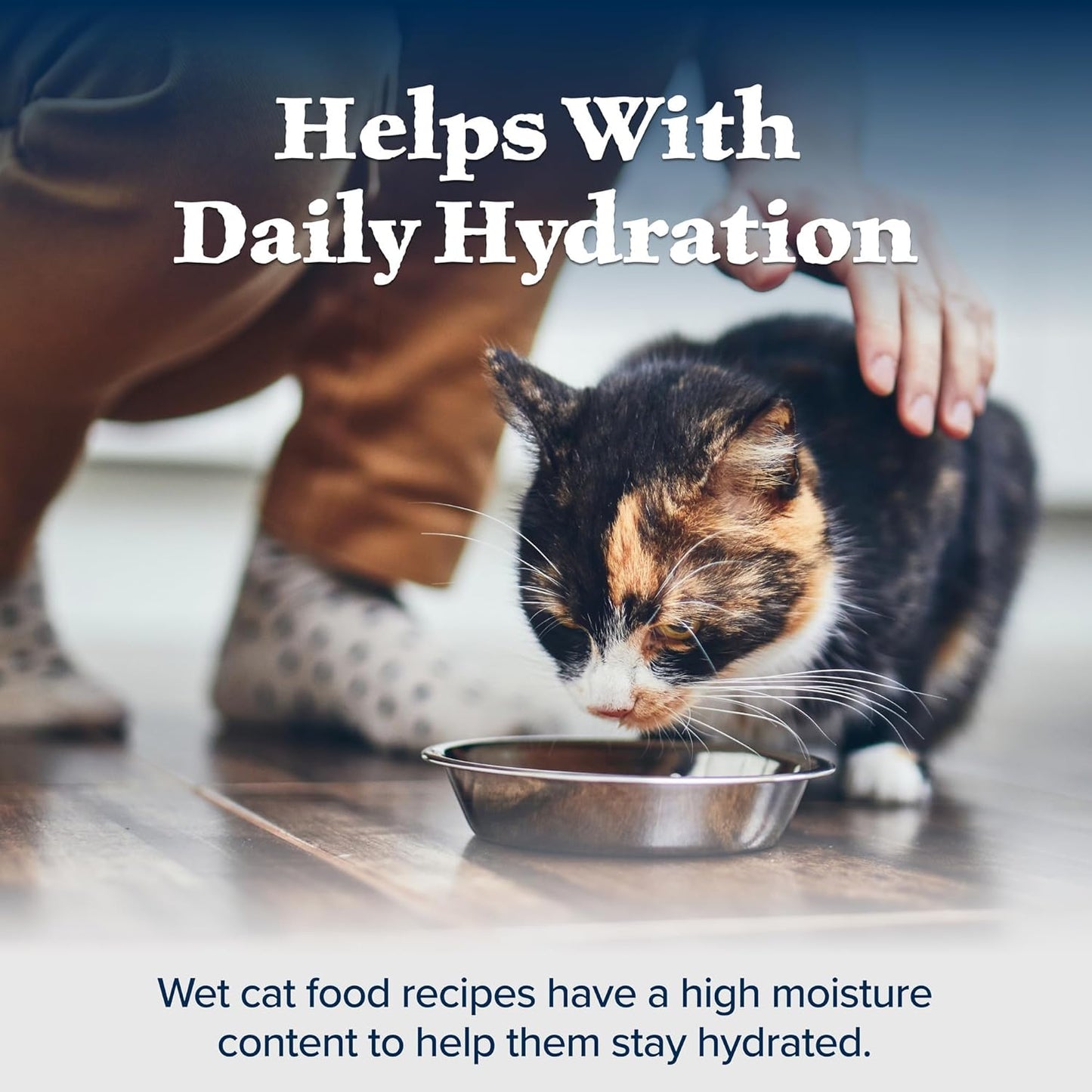 Blue Buffalo Wilderness High-Protein & Grain-Free Wet Cat Food Paté for Adult Cats 7+, Made with Natural Ingredients, Chicken Recipe, 3-oz. Cans (24 Count)