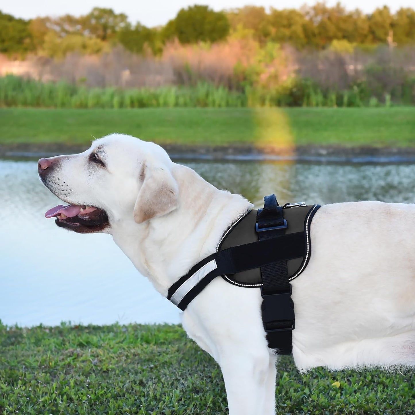 Dogline Dog Harness, Reflective No-Pull Adjustable Vest with Handle for Walking, Training, Breathable, No - Choke Harness for Small, Medium or Large Dogs Room for Patches Girth 15 to 18 in Black