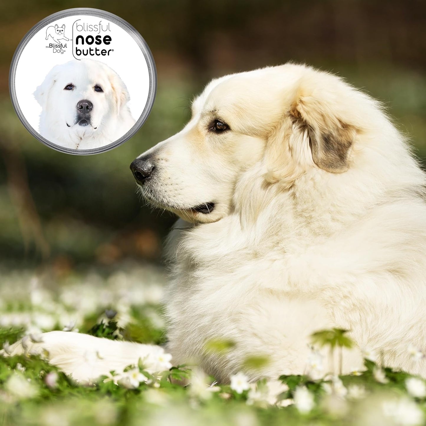 The Blissful Dog Great Pyrenees Unscented Nose Butter - Dog Nose Butter, 16 Ounce