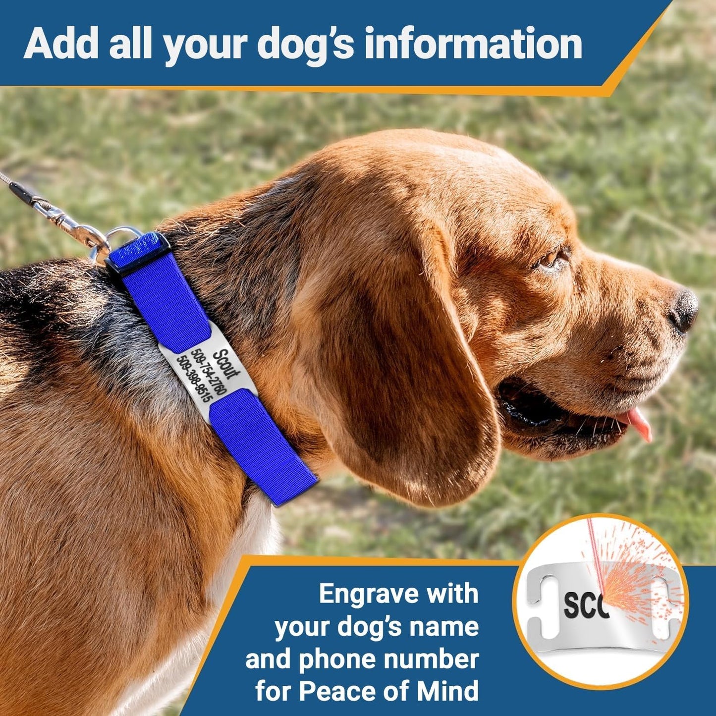 GoTags Reflective Personalized Dog Collar with Nameplate, Adjustable Dog Collar with Custom Engraved Steel Slide On Pet ID Tag, Silent, No Noise Dog Tag for Large Medium or Small (Light Blue, Medium)