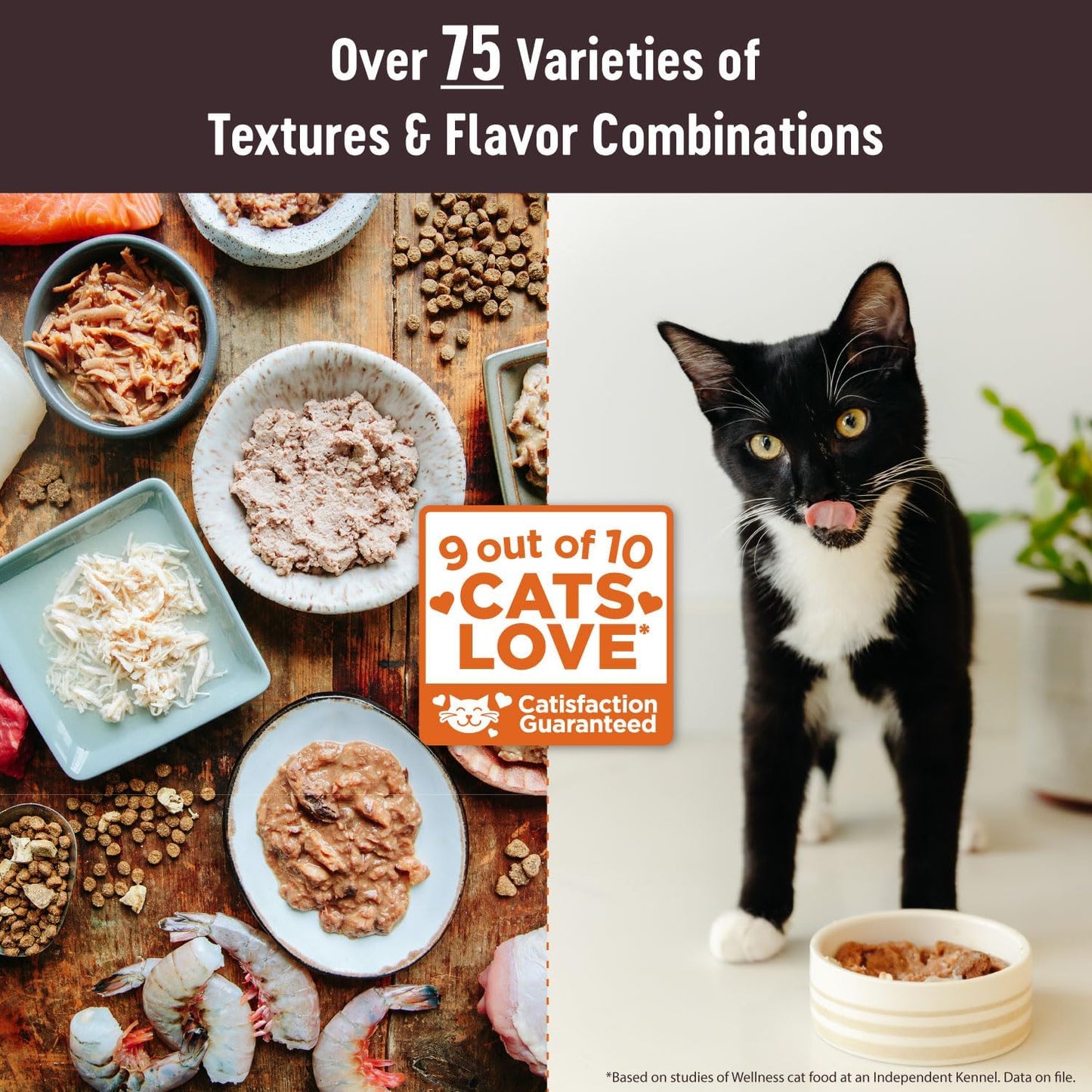 Wellness CORE Tiny Tasters Pate Adult Wet Cat Food, Natural, Protein-Rich, Grain Free, 1.75 Ounce Pouch, 12 Pack (Chicken & Turkey)