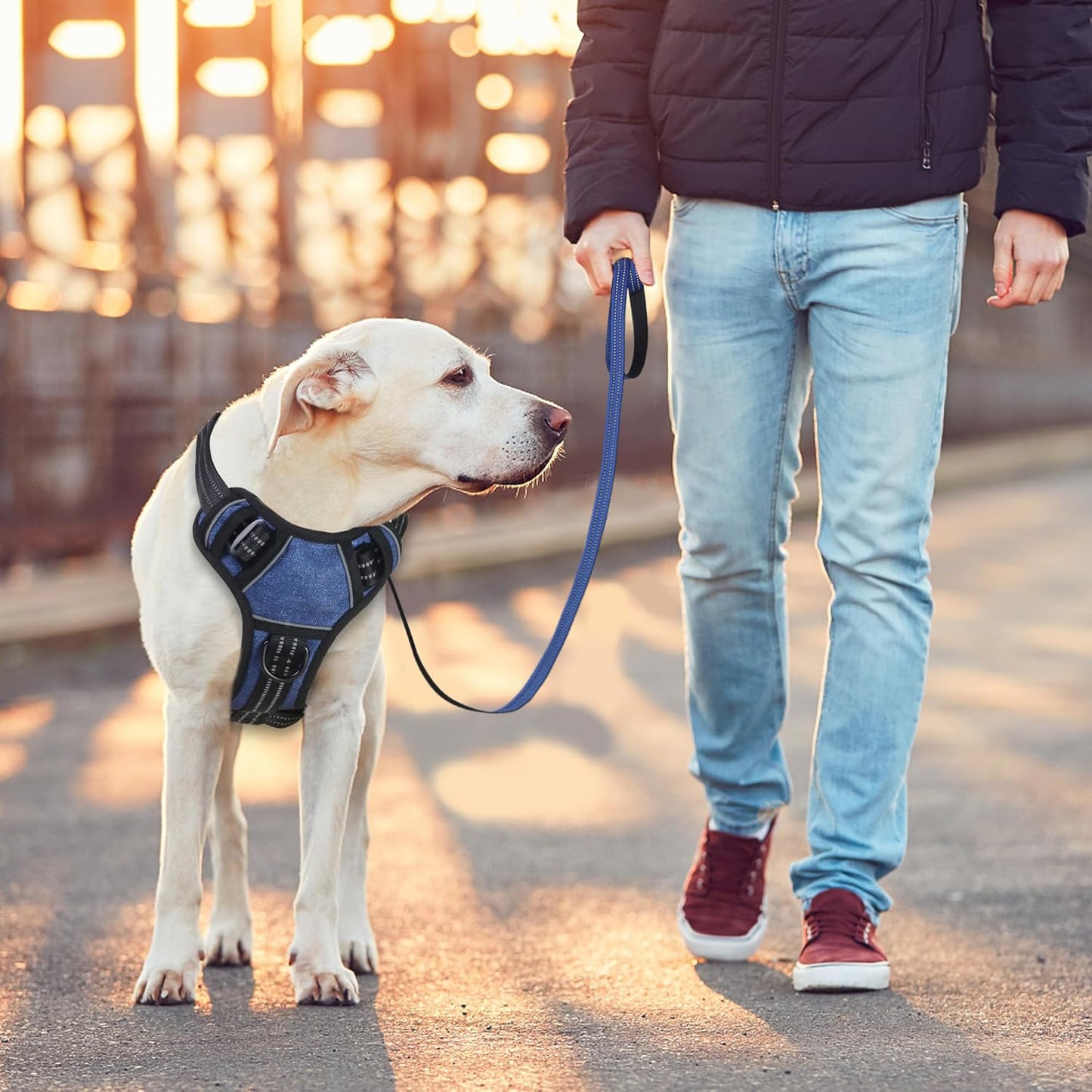 BUMBIN Dog Harness for Large Dogs, No Pull Adjustable No Choke Pet Vest with Dog Leash Fit Smart Reflective Pet Walking Harness for Training Easy Control Soft Handle Denim Blue L
